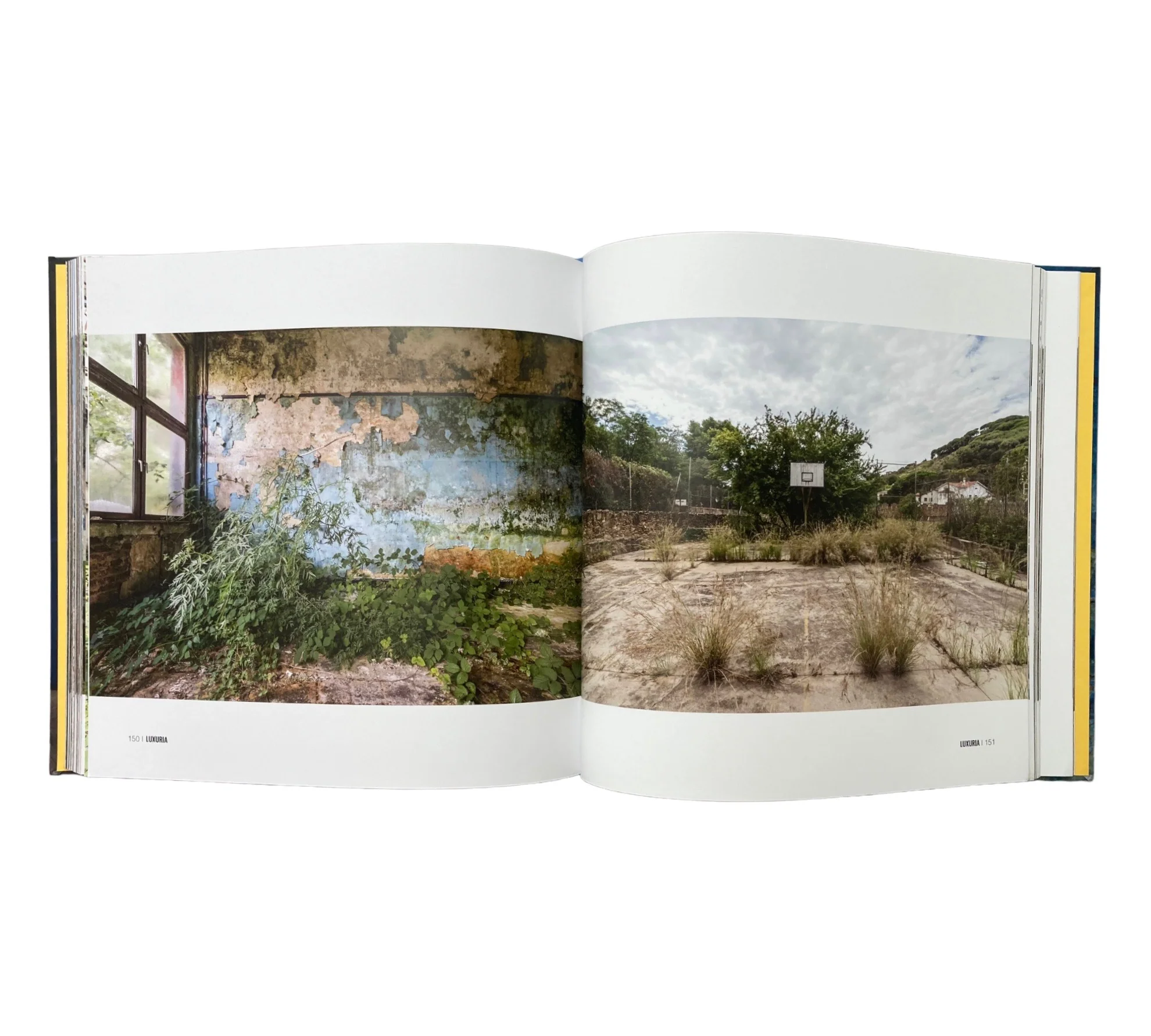 Romain Veillon: Ask the Dust - Image 4