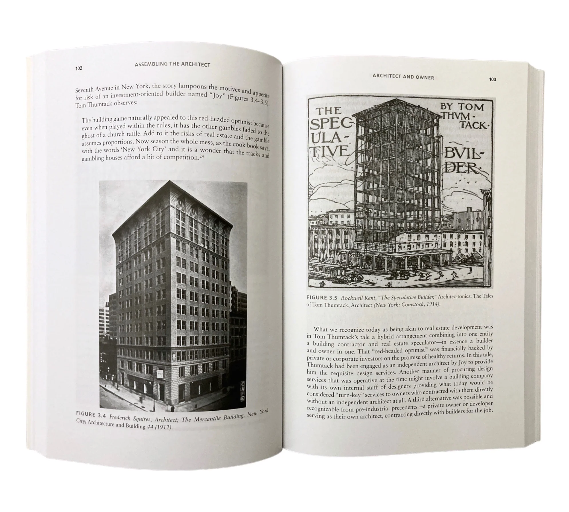 Assembling the Architect: The History and Theory of Professional Practice - Image 3