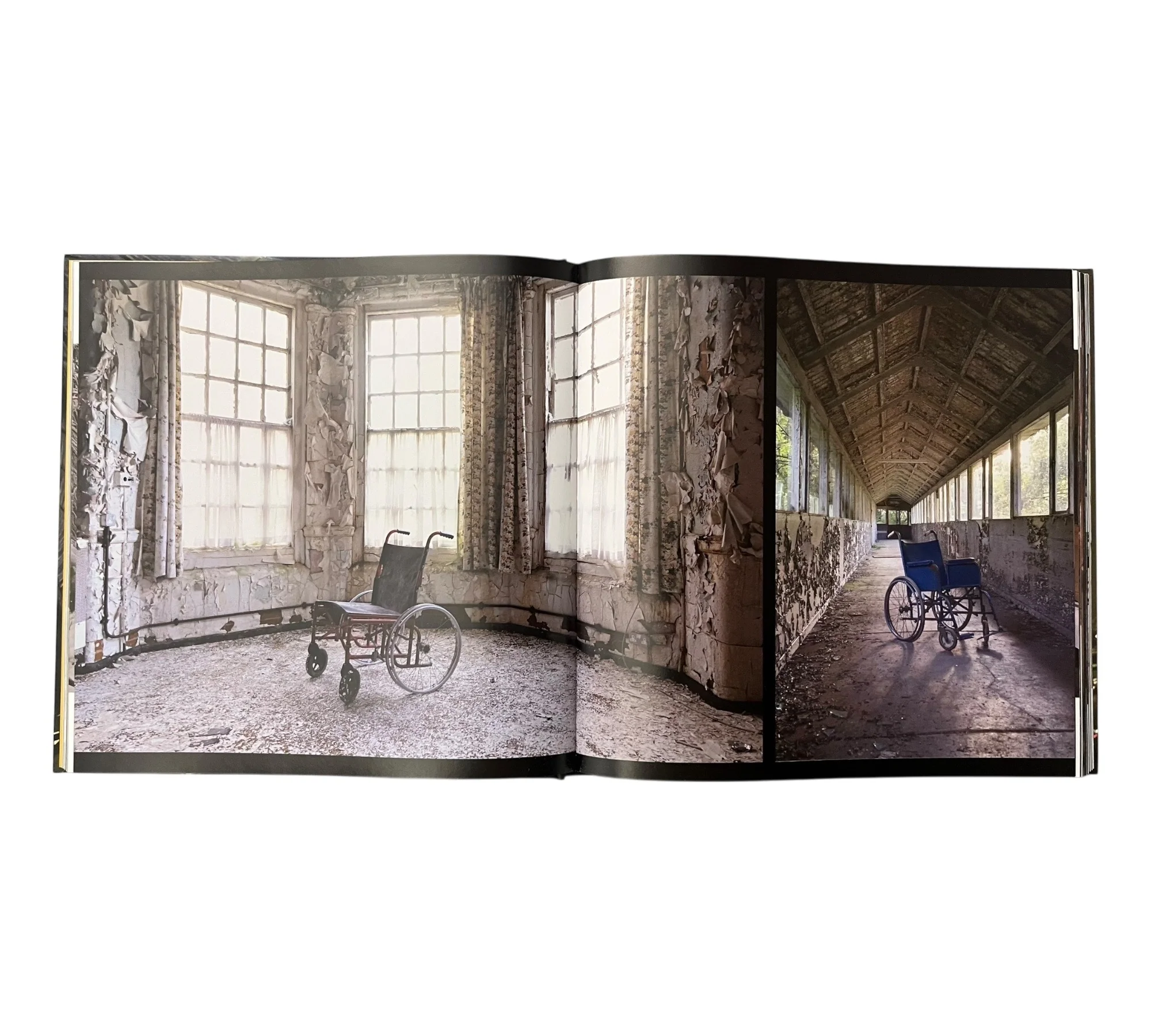Beauty in Decay II - Image 12