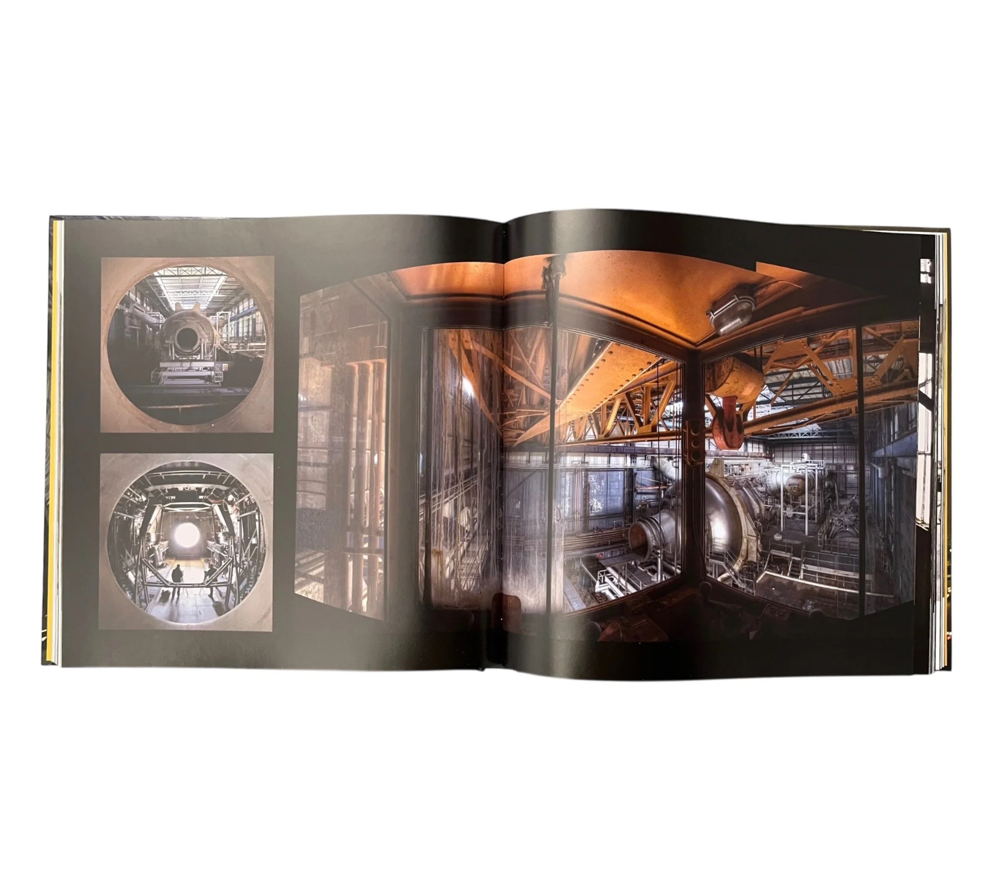 Beauty in Decay II - Image 15
