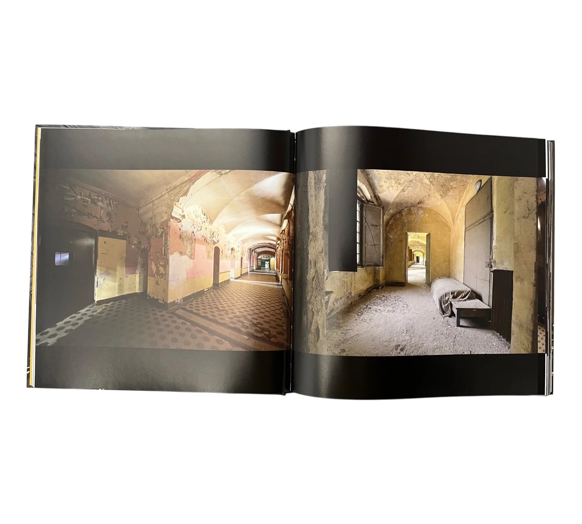 Beauty in Decay II - Image 17
