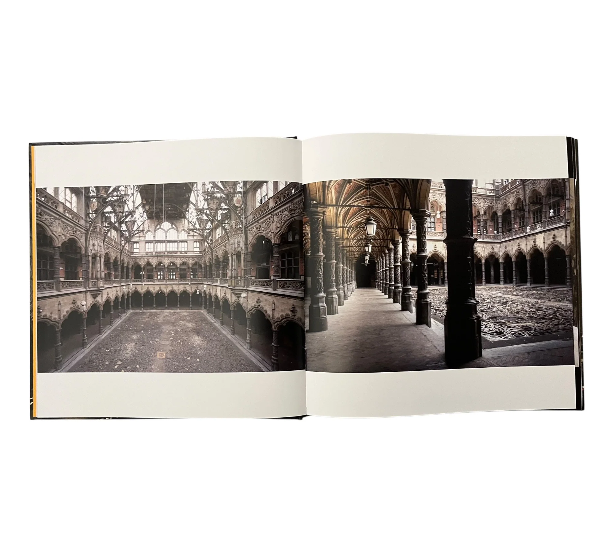 Beauty in Decay II - Image 19
