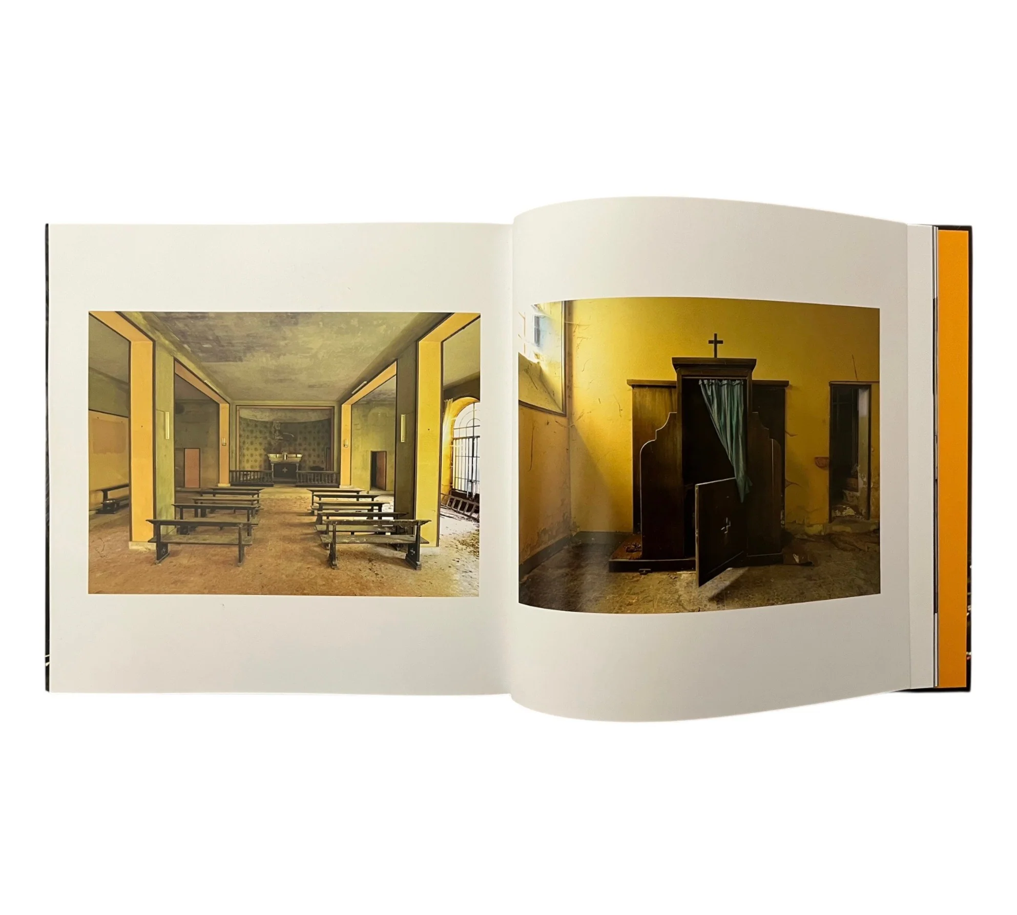 Beauty in Decay II - Image 3