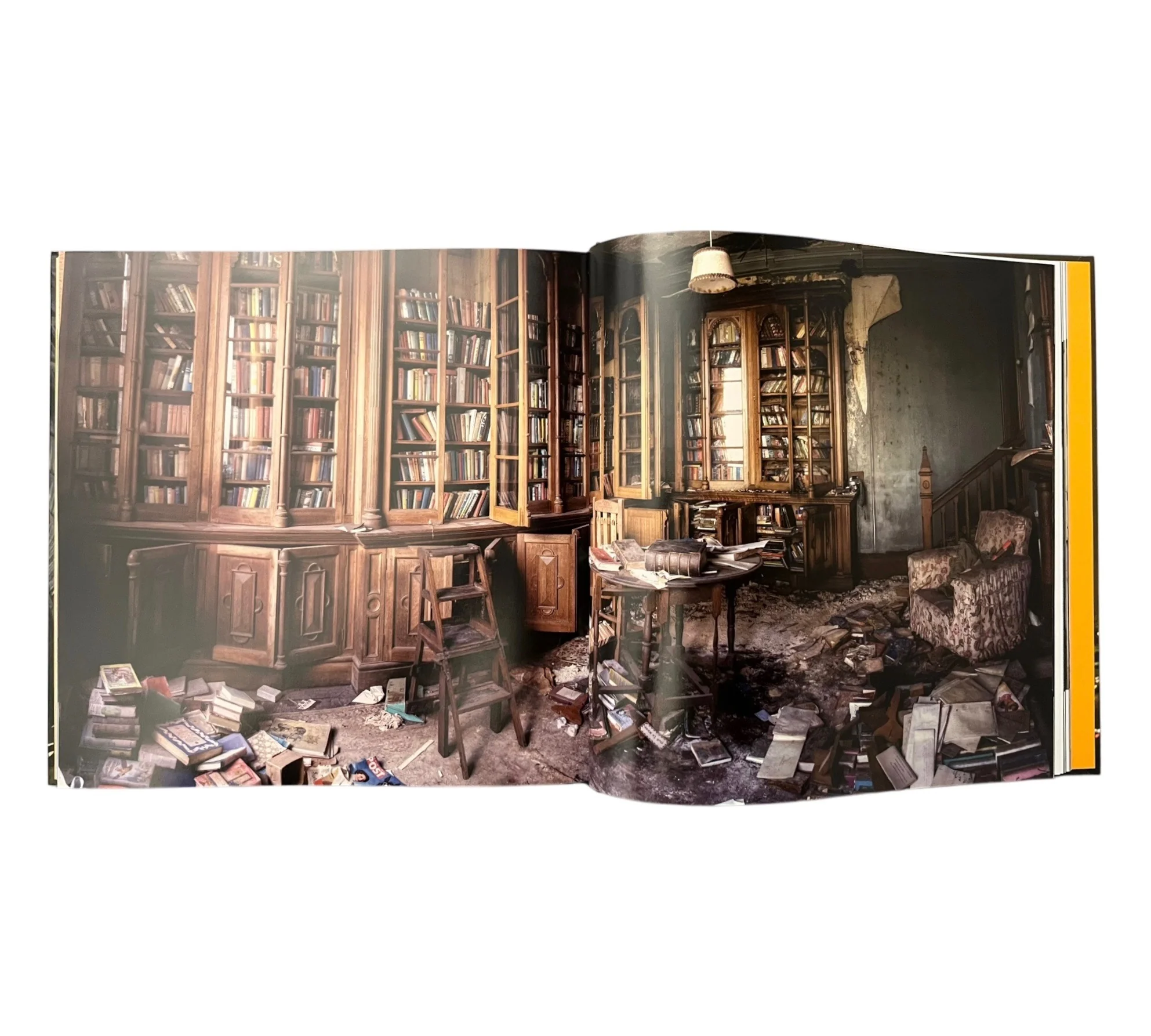 Beauty in Decay II - Image 4