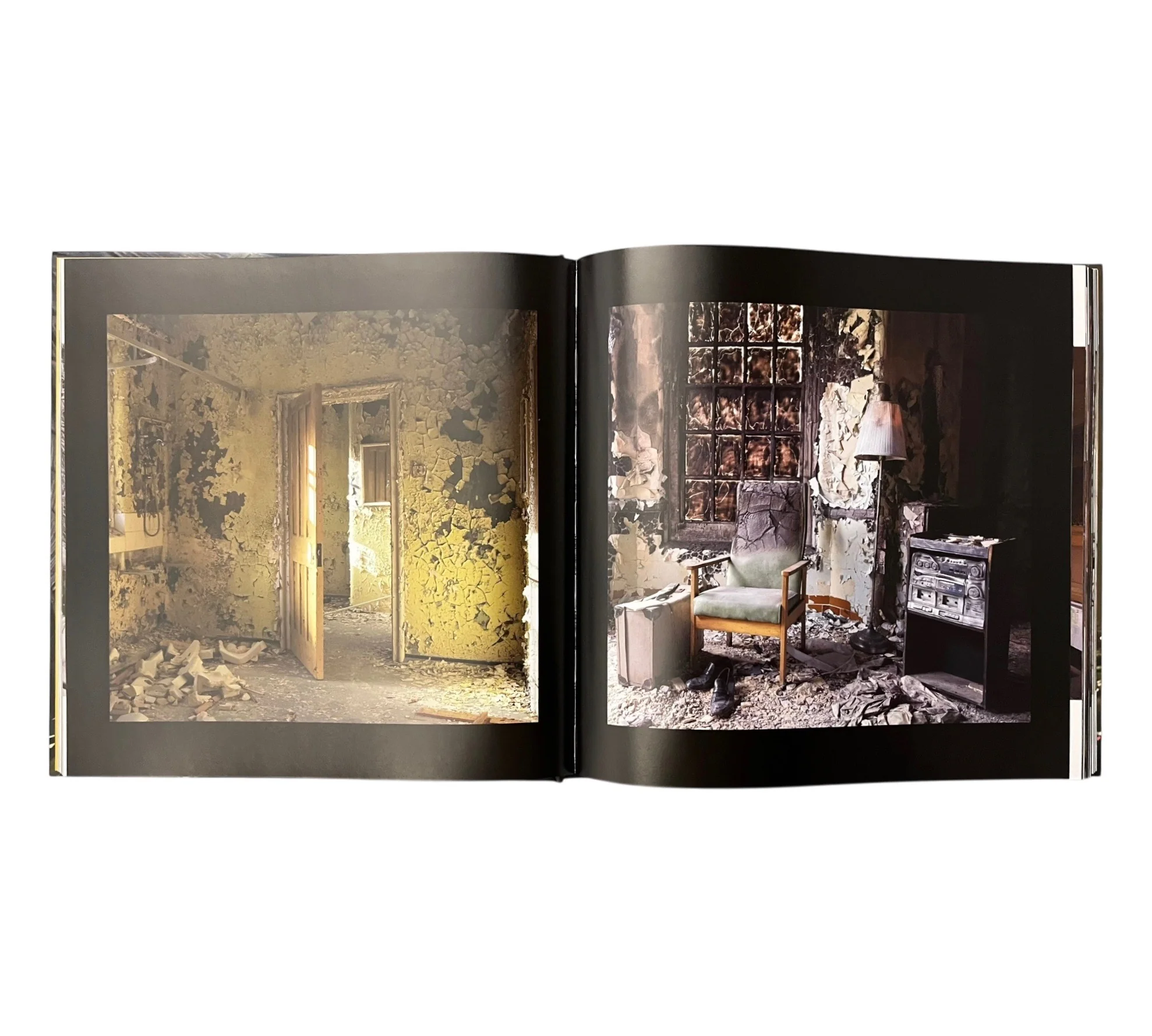 Beauty in Decay II - Image 9