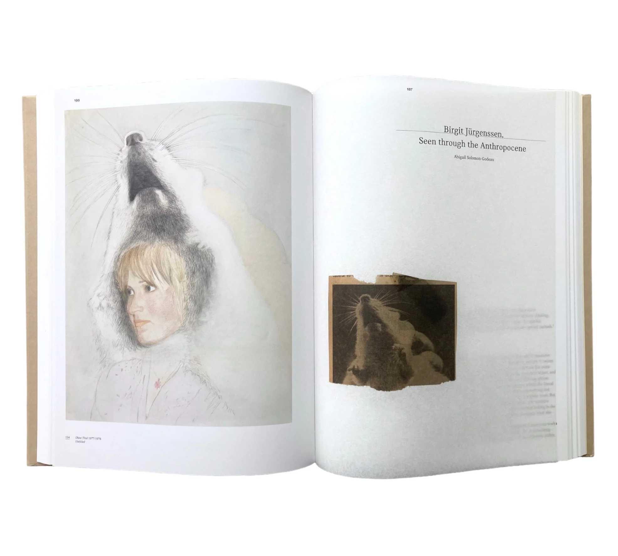 Birgit Jürgenssen: I am. - Image 12
