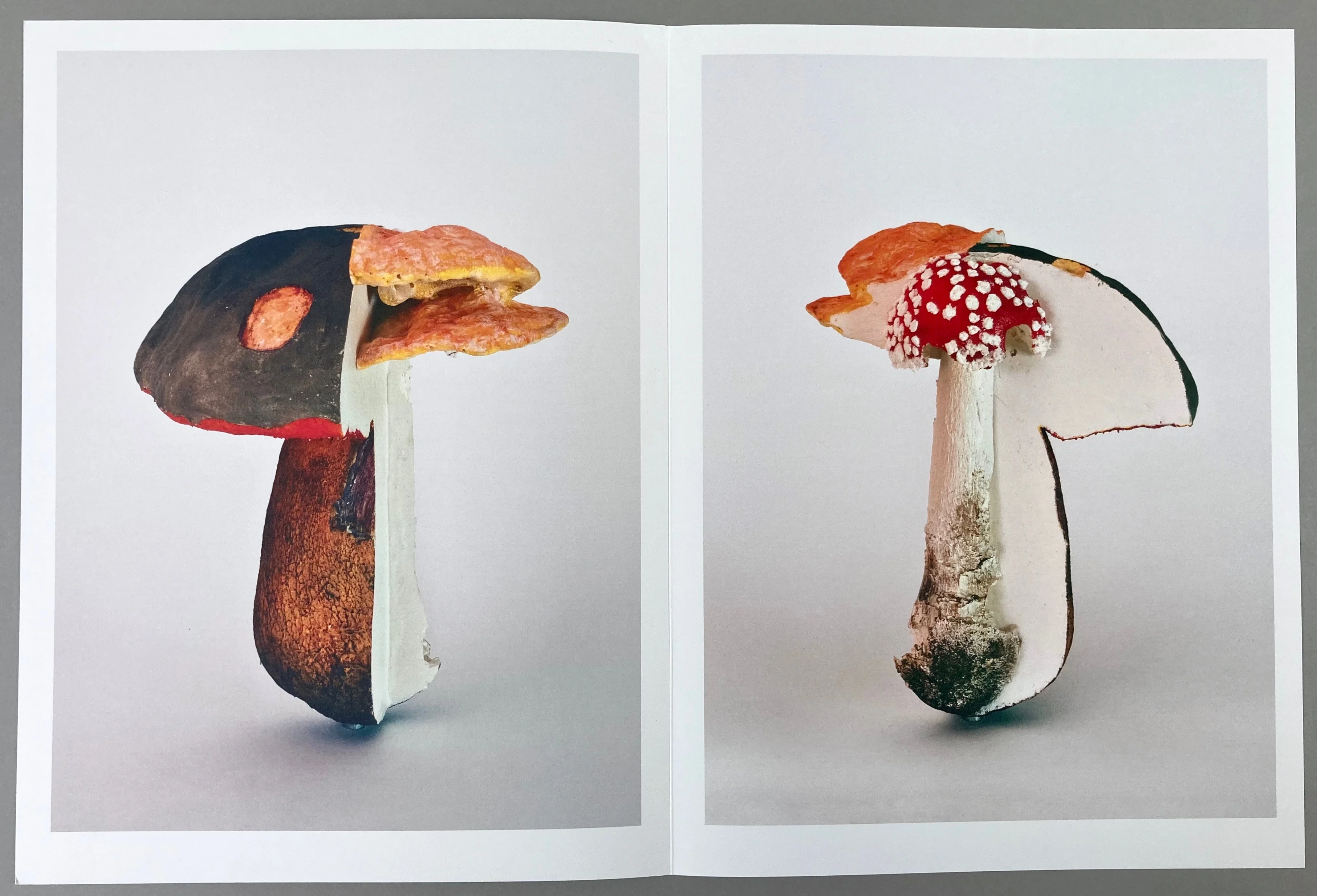 Carsten Höller: Triple Mushrooms - Artist's Portfolio - Image 4