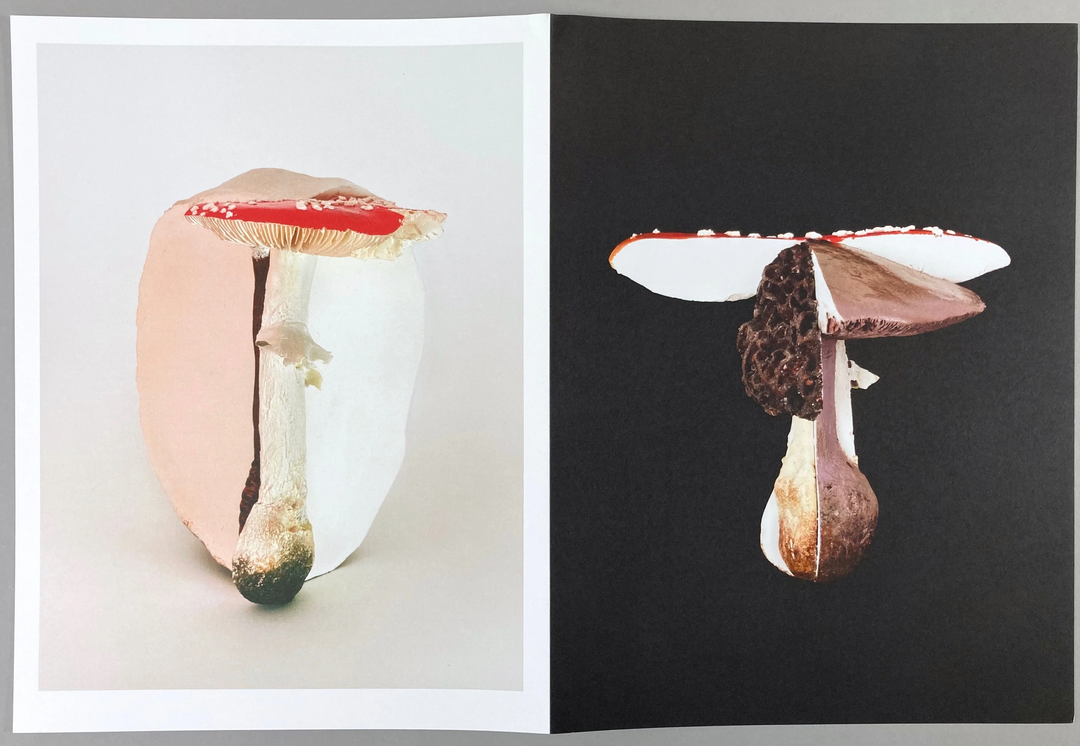 Carsten Höller: Triple Mushrooms - Artist's Portfolio - Image 5
