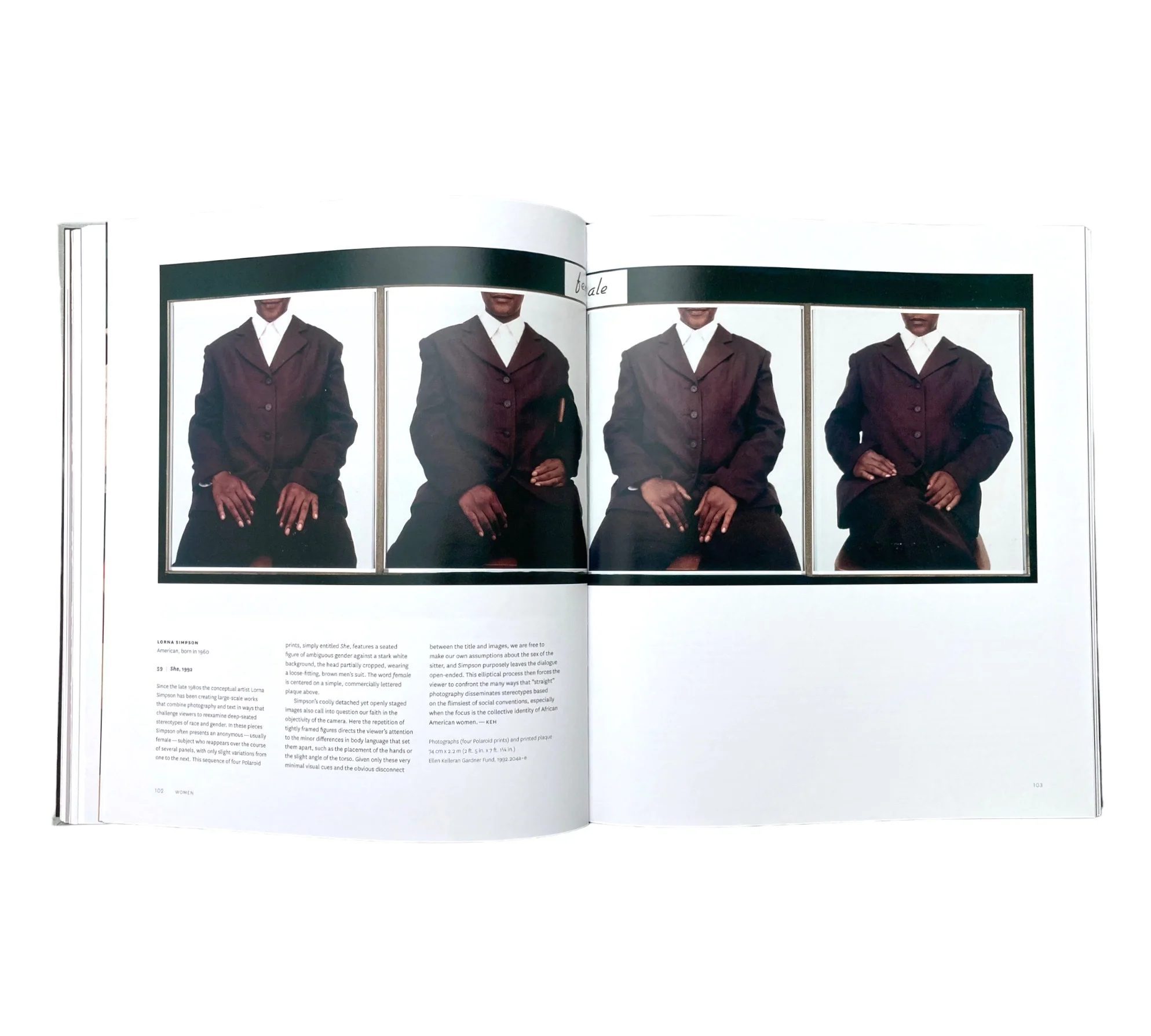 Common Wealth: Art by African Americans in the Museum of Fine Arts, Boston - Image 11