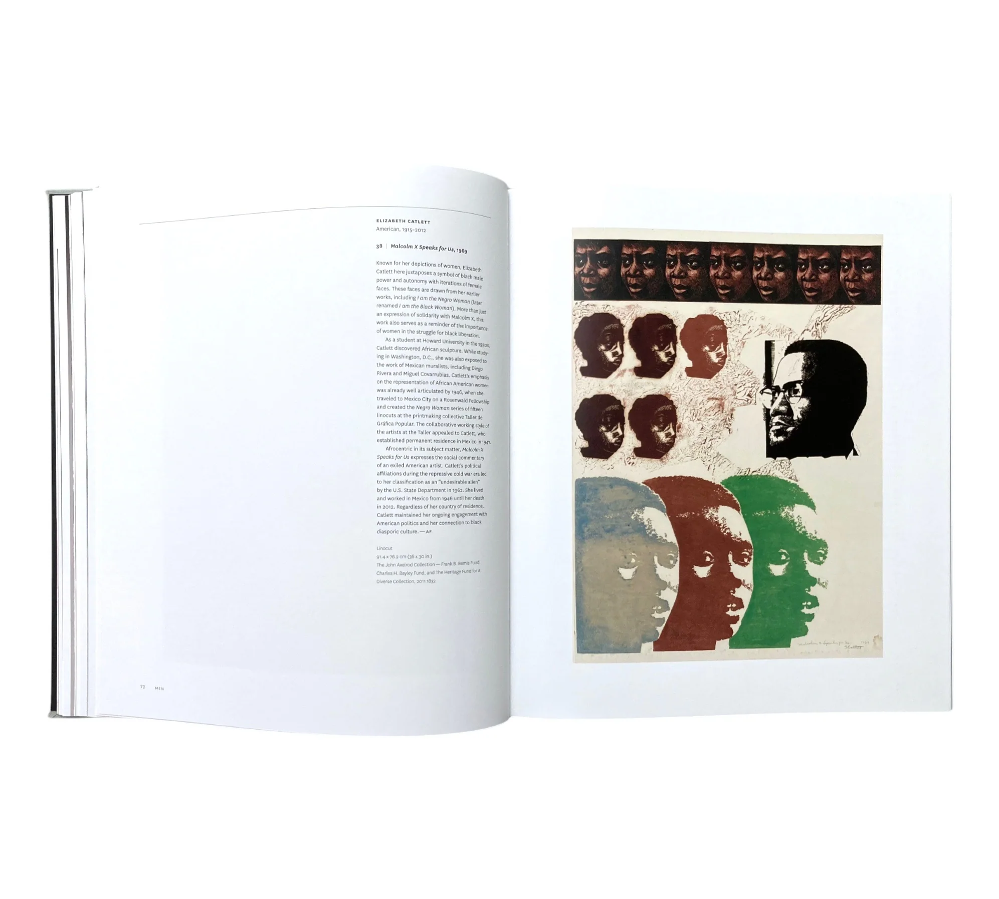 Common Wealth: Art by African Americans in the Museum of Fine Arts, Boston - Image 7