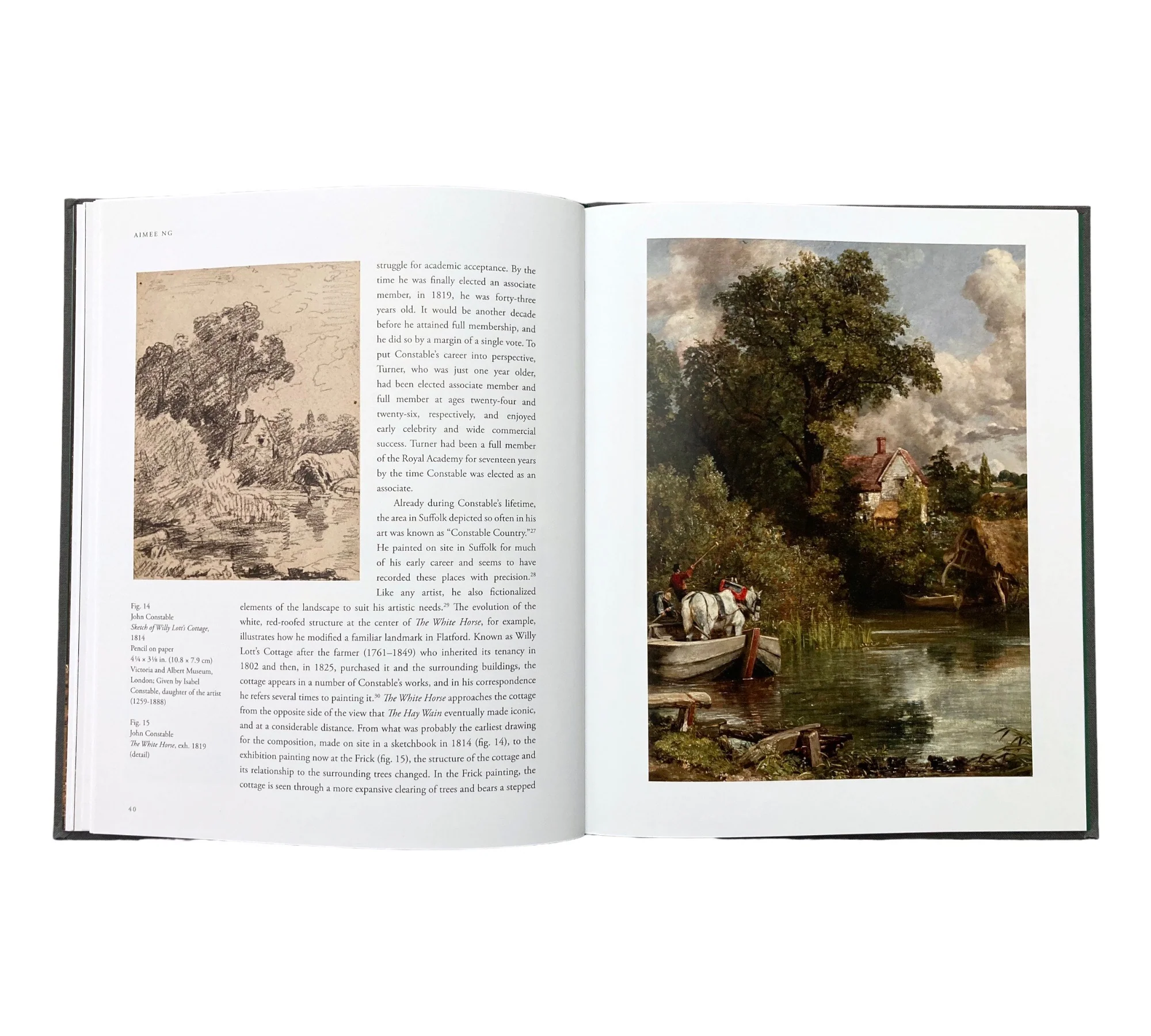 Constable's White Horse: William Kentridge & Amiee Ng - Image 6