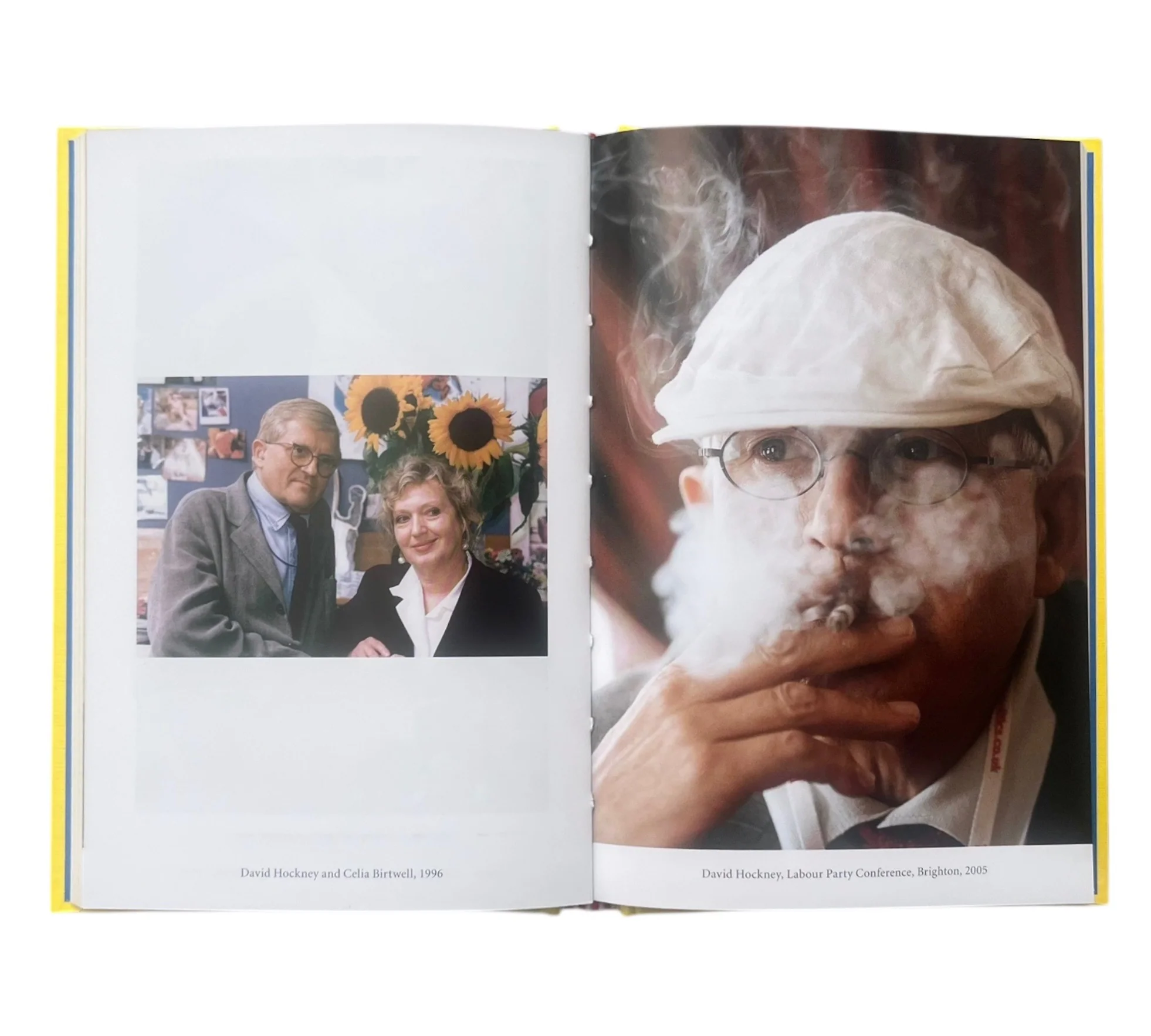 David Hockney (Lives of the Artists) - Image 6