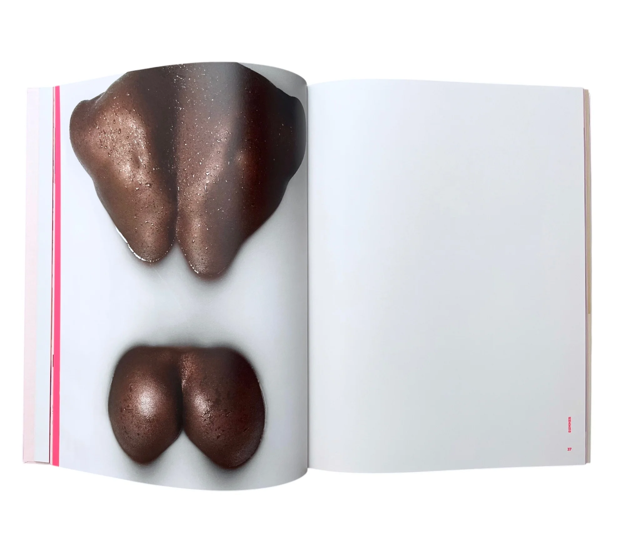 Eli Rezkallah: Life in Plastik - Image 9