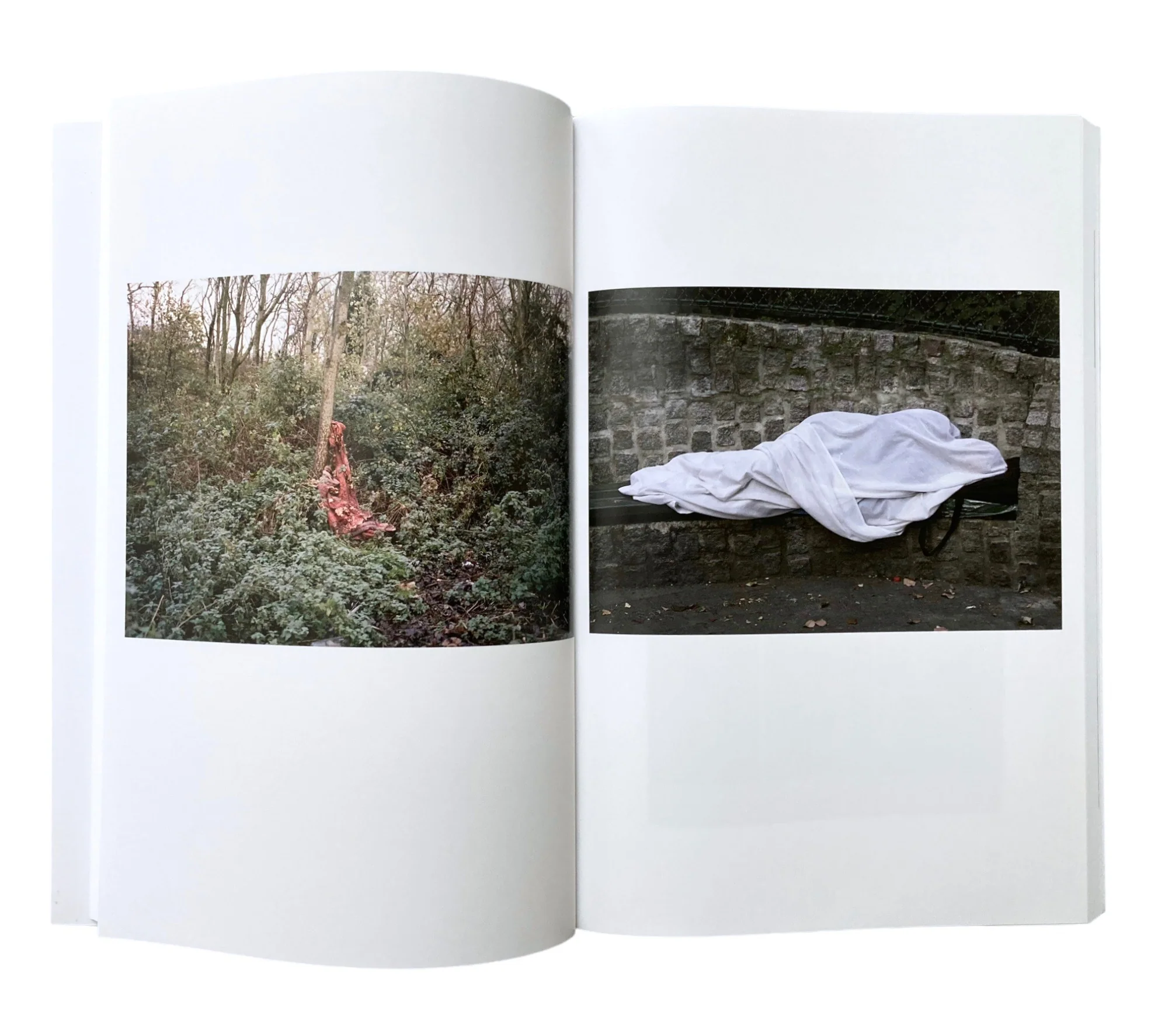 Études Photographiques: Issue 27 - Image 6