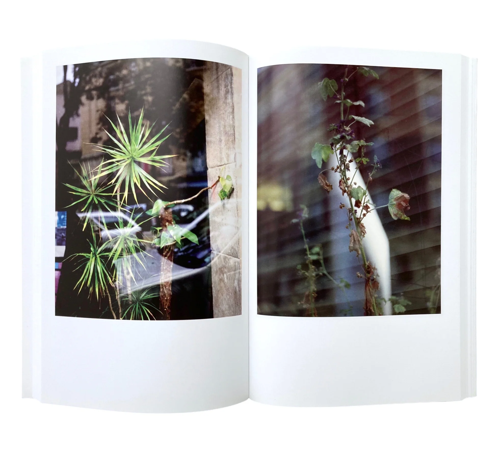 Études Photographiques: Issue 29 - Image 6