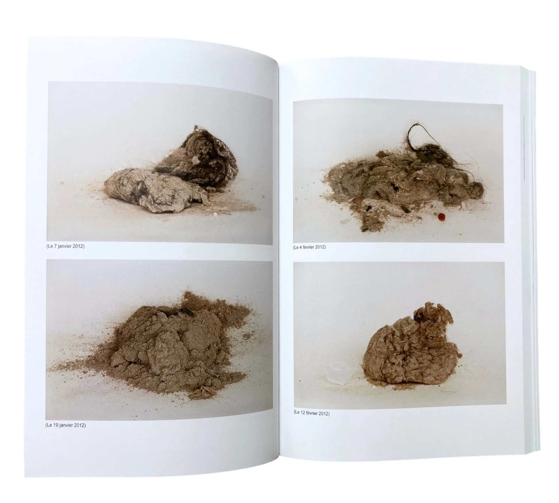 Études Photographiques: Issue 30 - Image 5