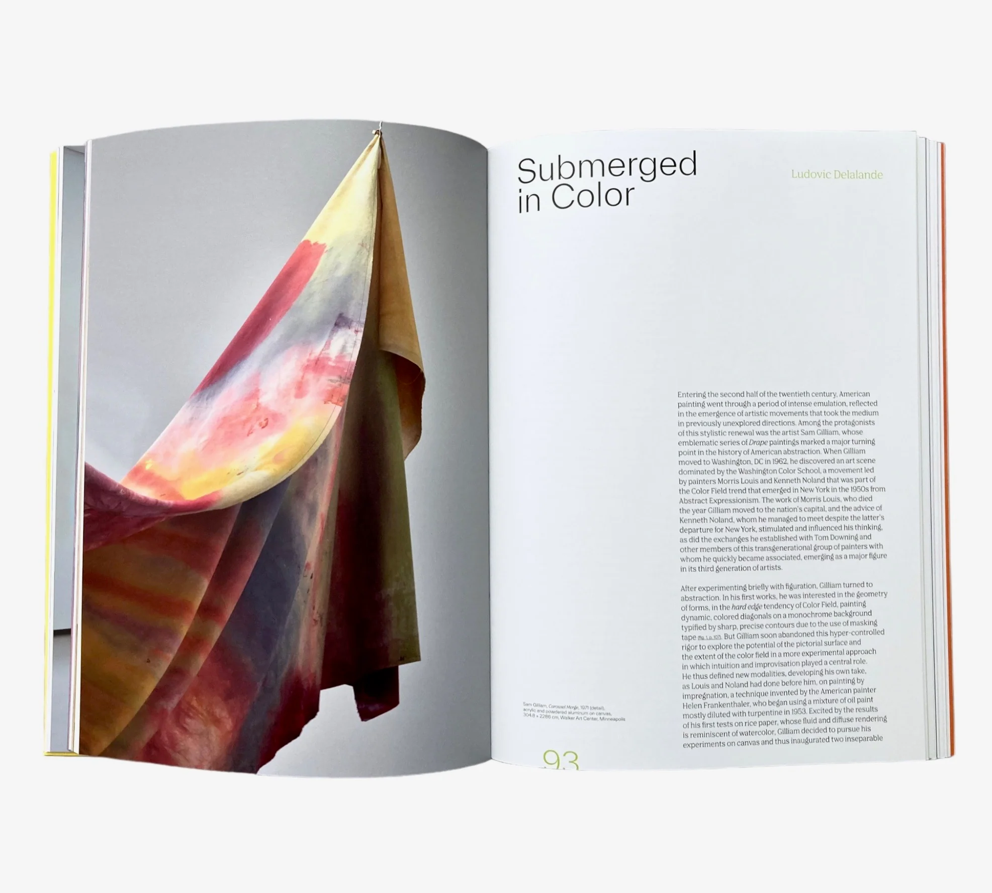 Fugues in Color: Sam Gilliam, Katharina Grosse, Steven Parrino, Megan Rooney, Niele Toroni - Image 10