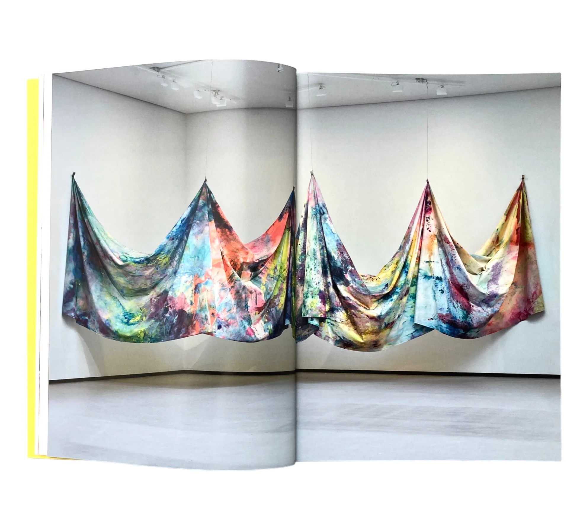 Fugues in Color: Sam Gilliam, Katharina Grosse, Steven Parrino, Megan Rooney, Niele Toroni - Image 4