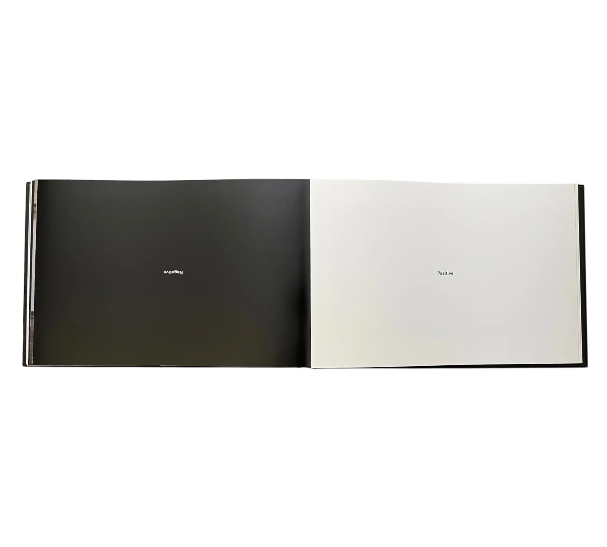 The Great Picture: Making the World's Largest Photograph - Image 16