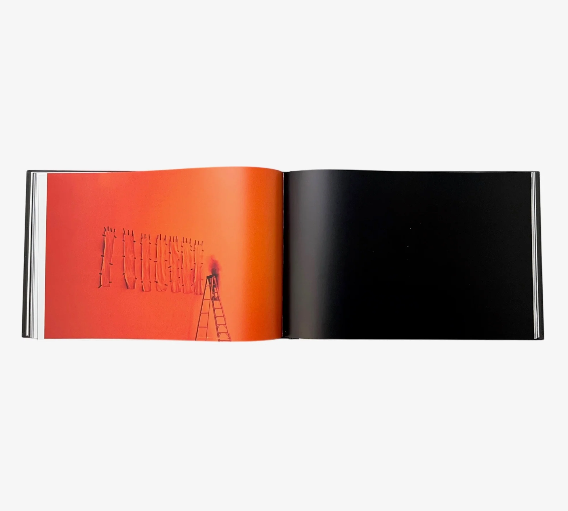 The Great Picture: Making the World's Largest Photograph - Image 7