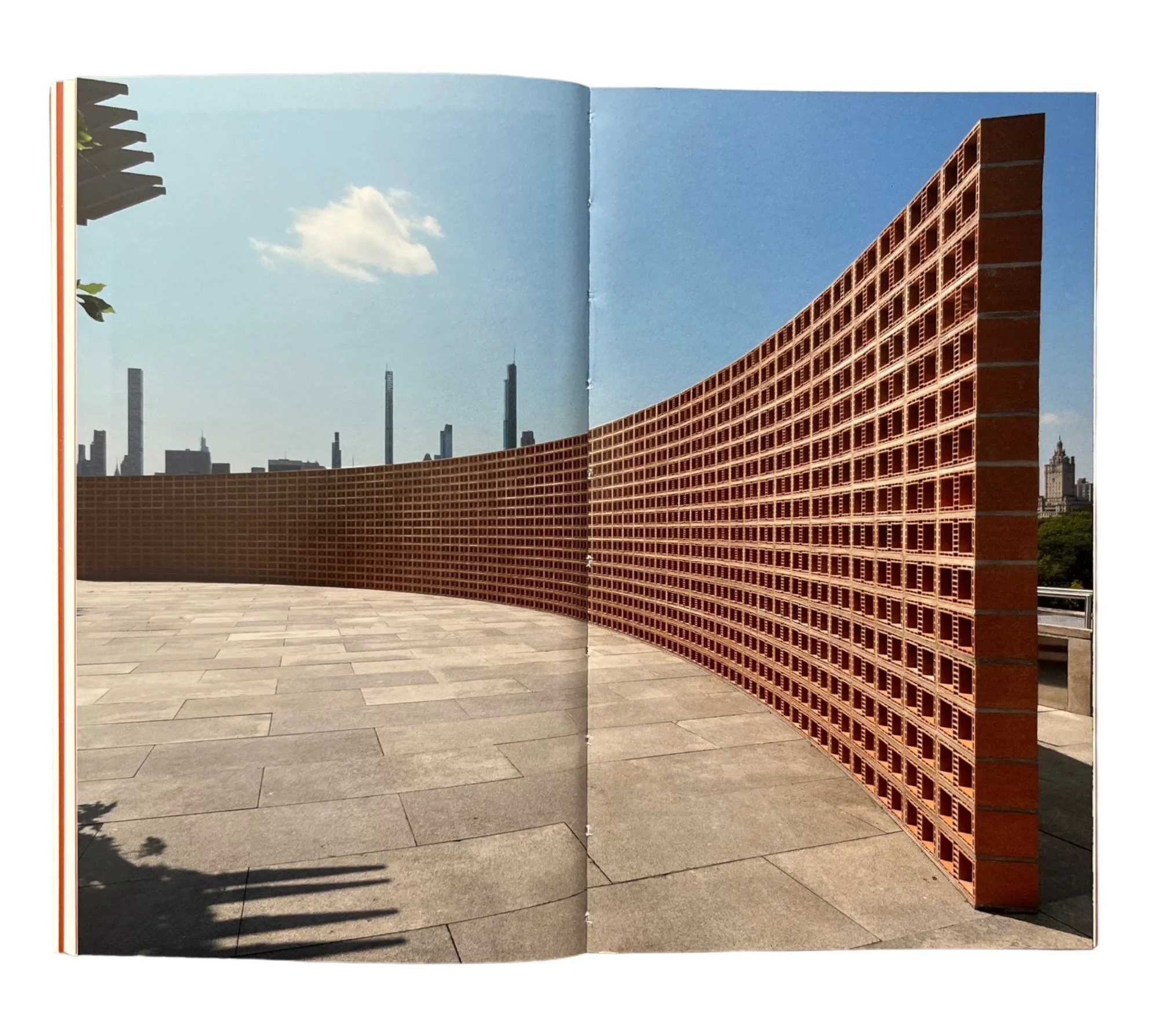 Hector Zamora: Lattice Detour (The Roof Garden Commission) - Image 3
