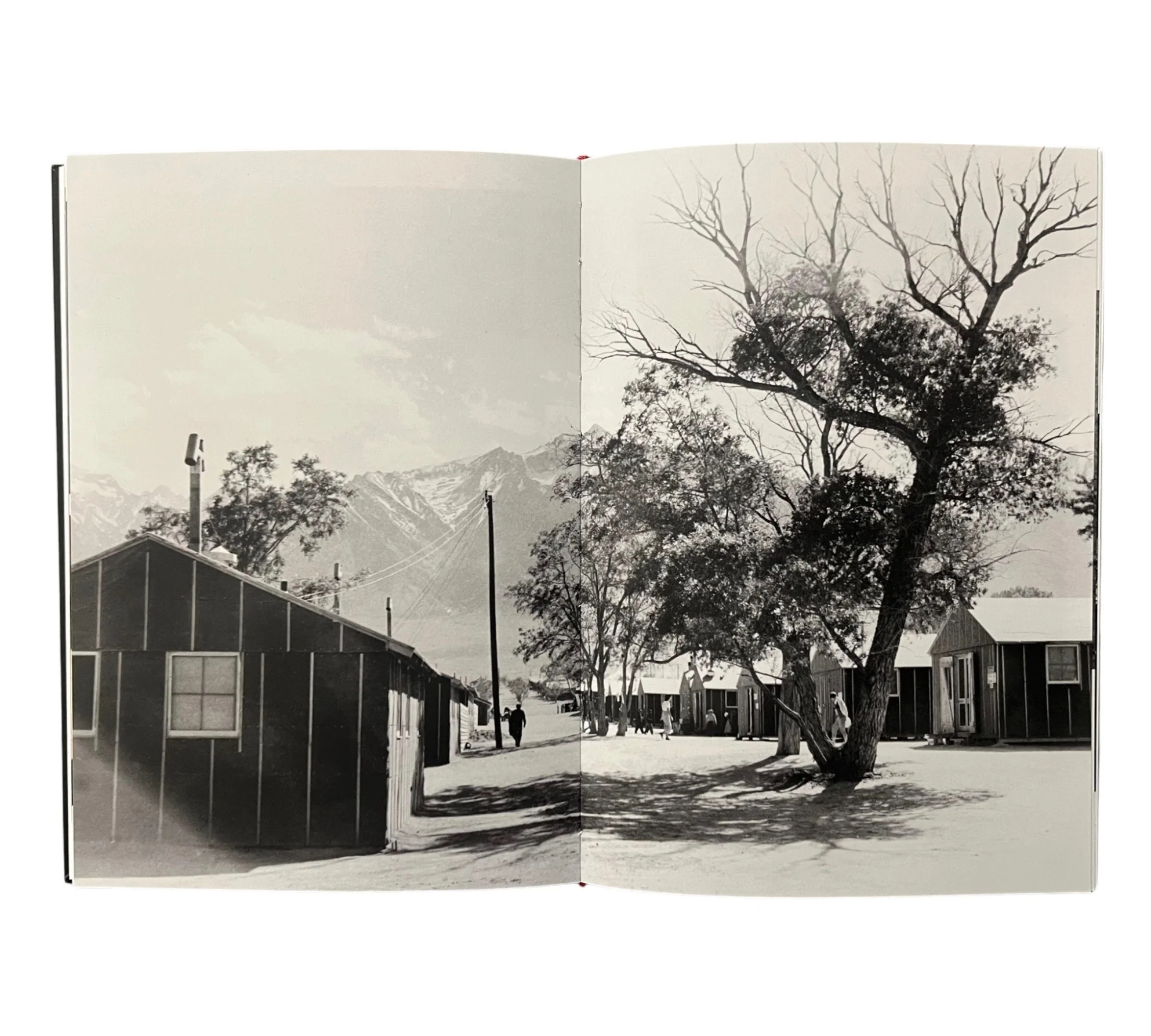 If I Had A Hammer (FotoFest) - Image 12