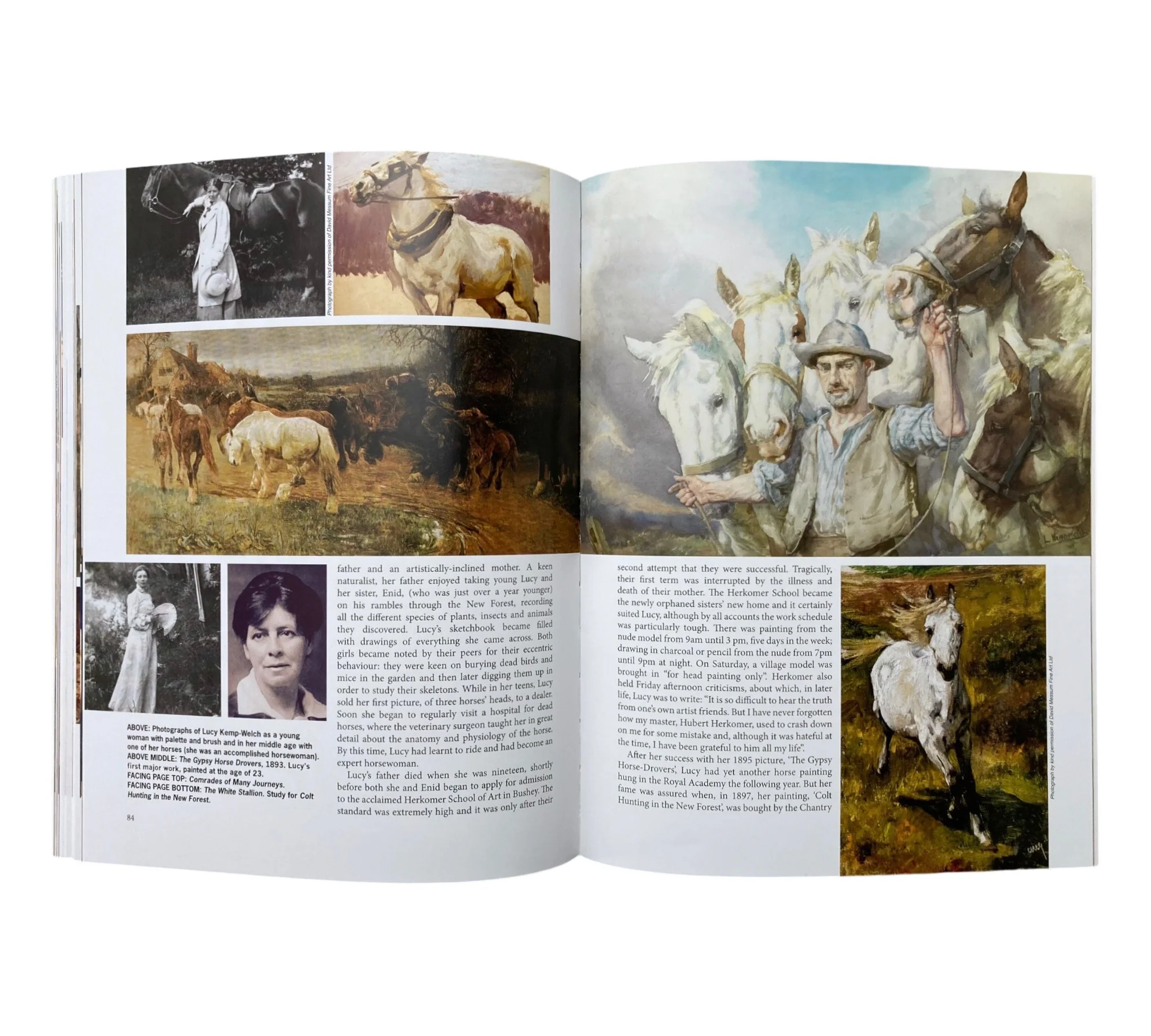 Illustrators Quarterly: Issue 21 (Rare edition) - Image 14