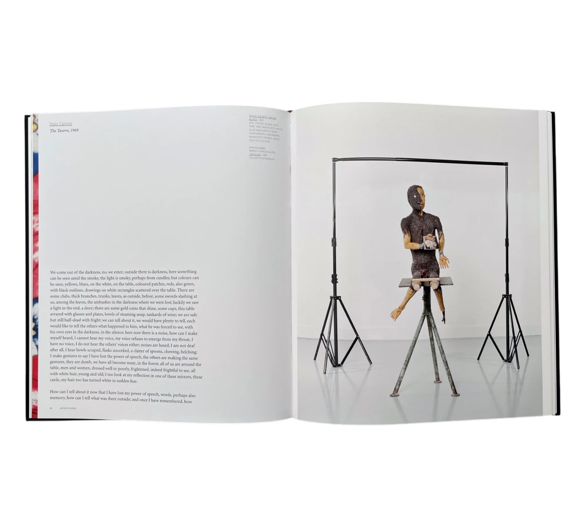 Jimmie Durham (Contemporary Artists Series) - Image 11