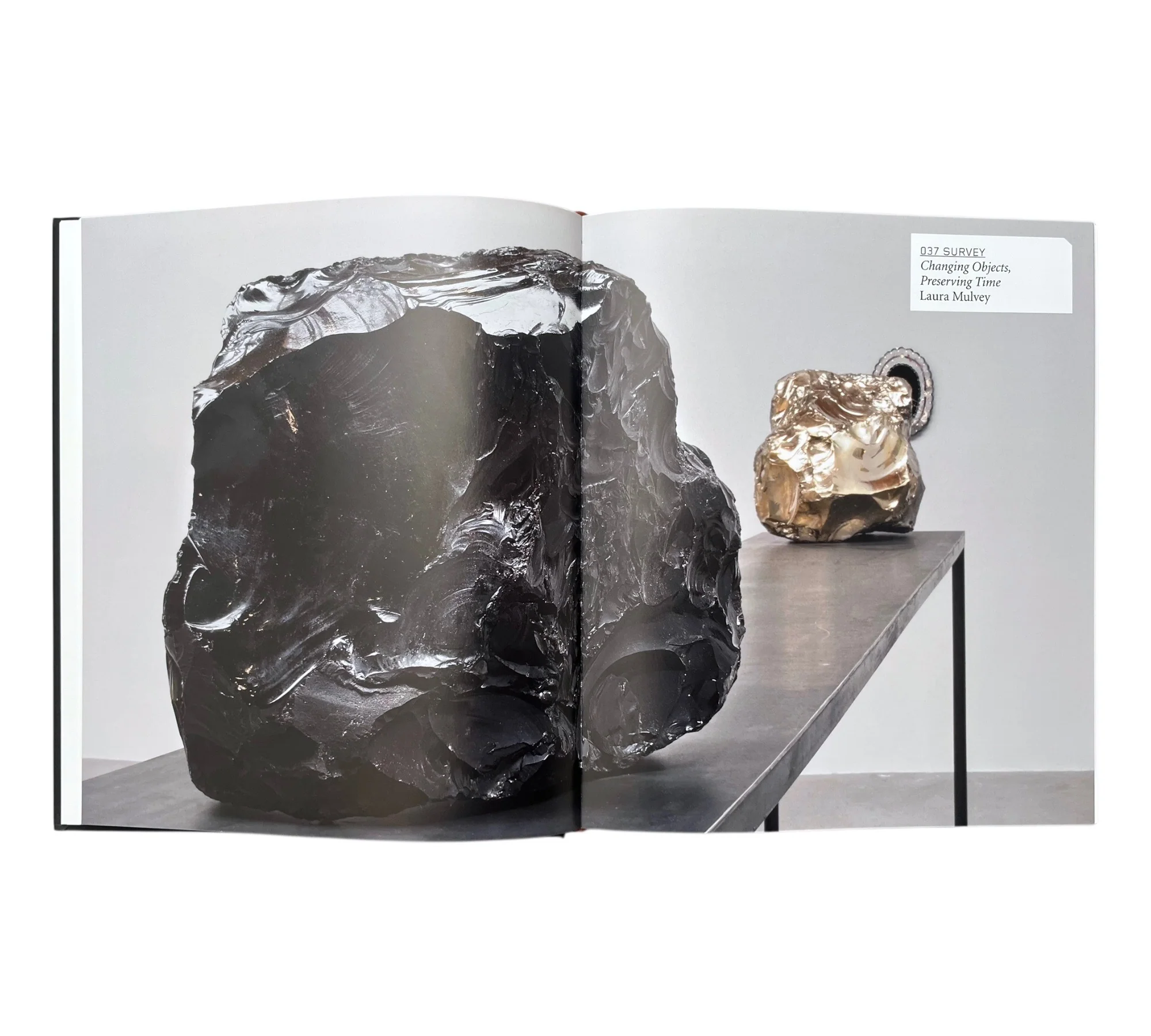 Jimmie Durham (Contemporary Artists Series) - Image 12