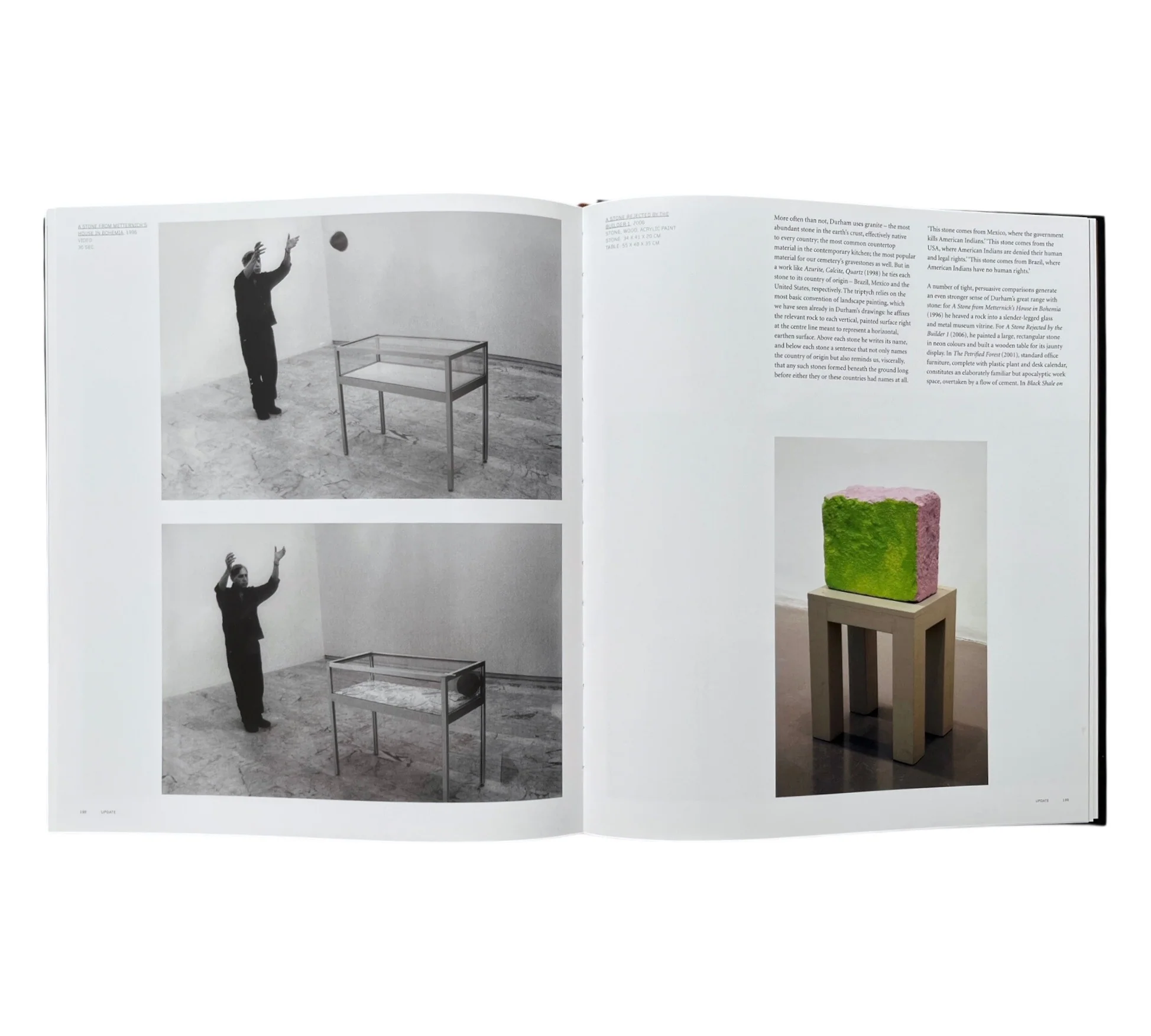 Jimmie Durham (Contemporary Artists Series) - Image 13