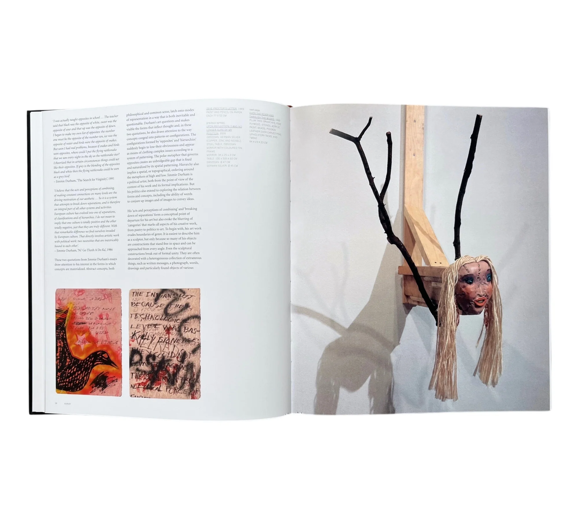 Jimmie Durham (Contemporary Artists Series) - Image 3