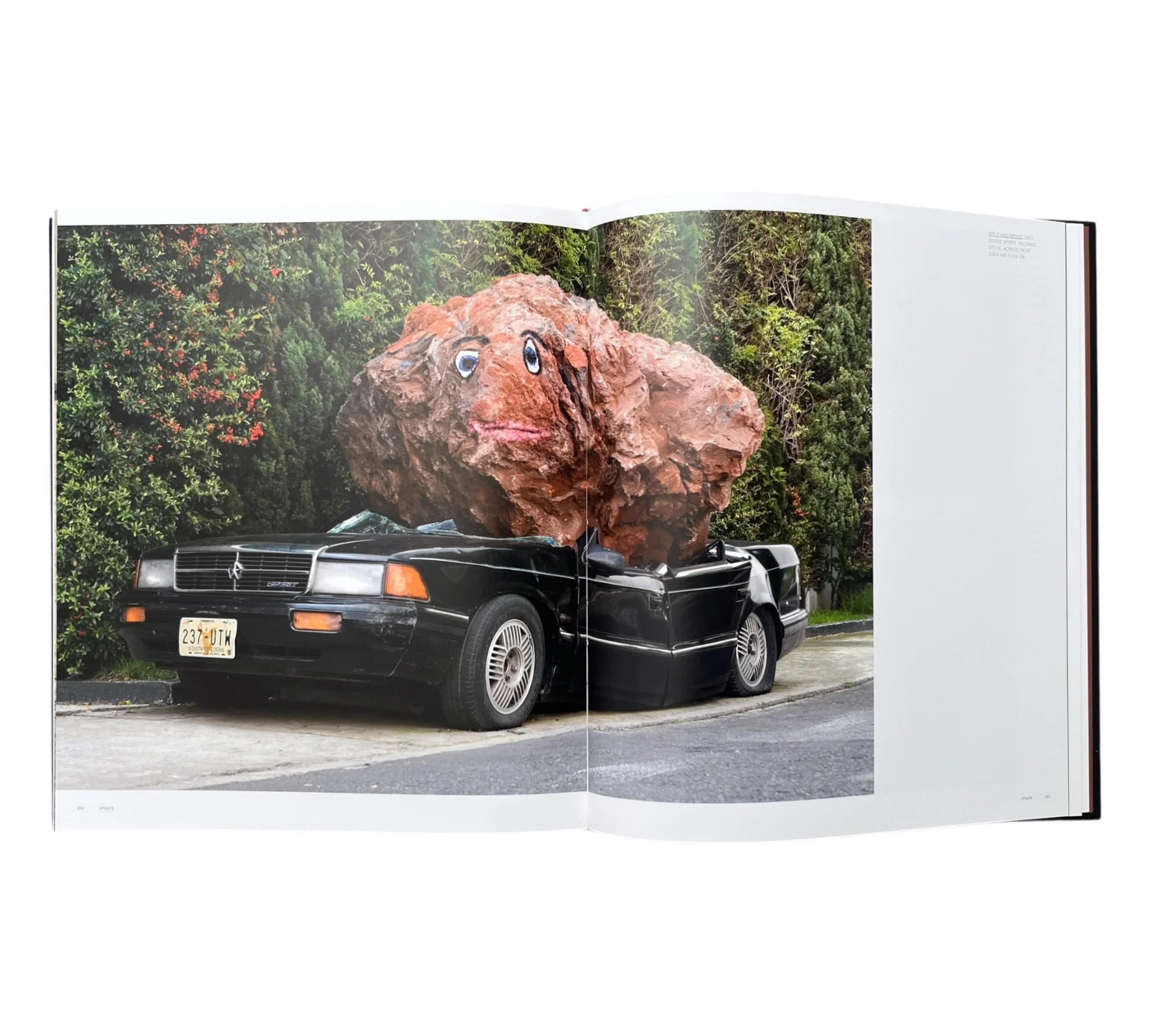 Jimmie Durham (Contemporary Artists Series) - Image 5
