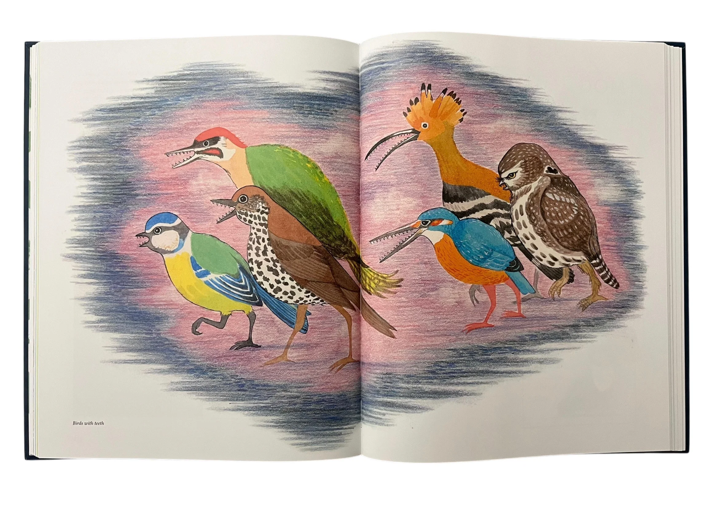 Judith Kerr’s Creatures: A Celebration of Her Life and Work - Image 8