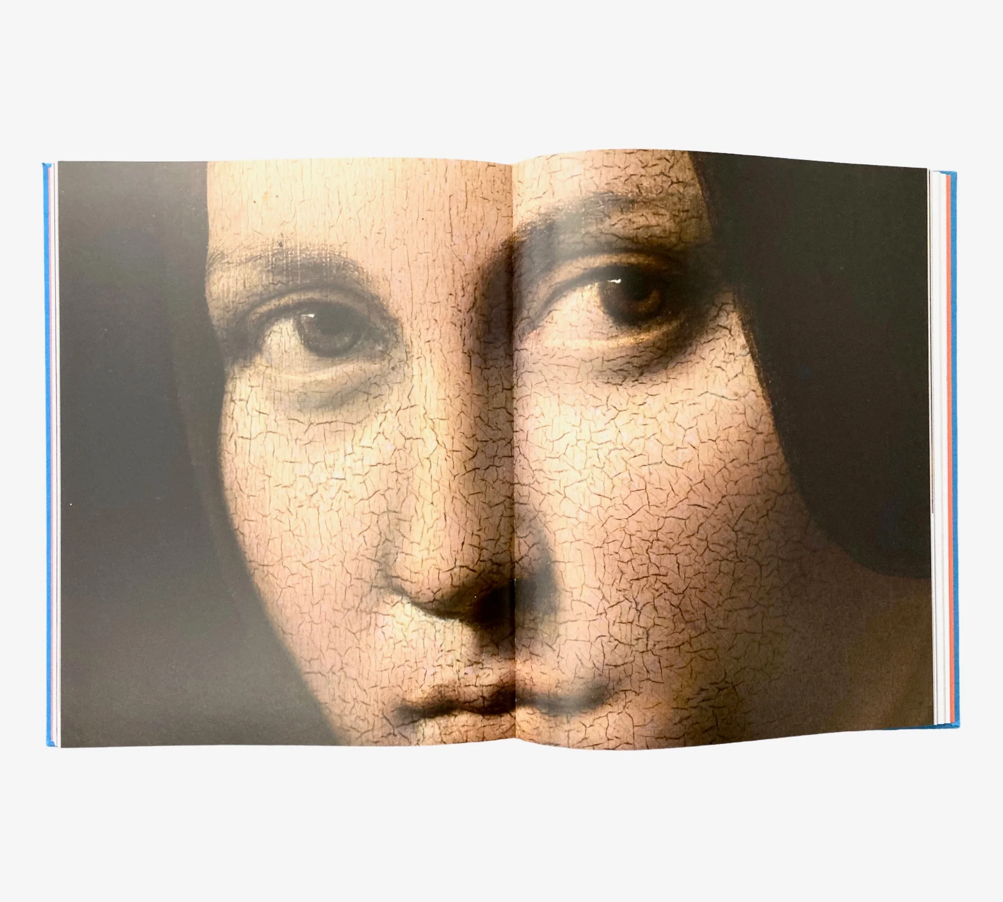 Leonardo in Detail - Image 4