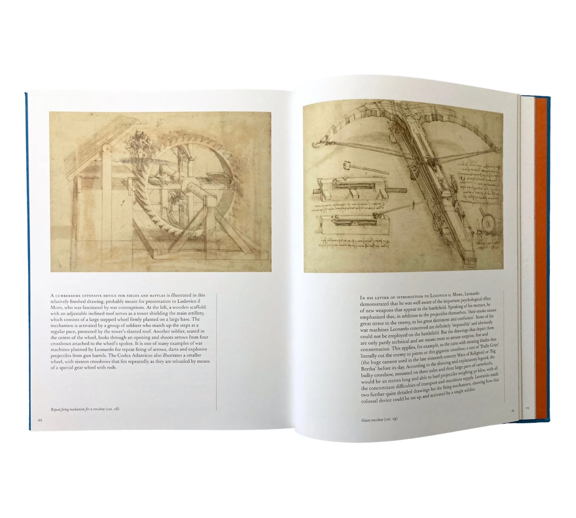 Leonardo in Detail - Image 7