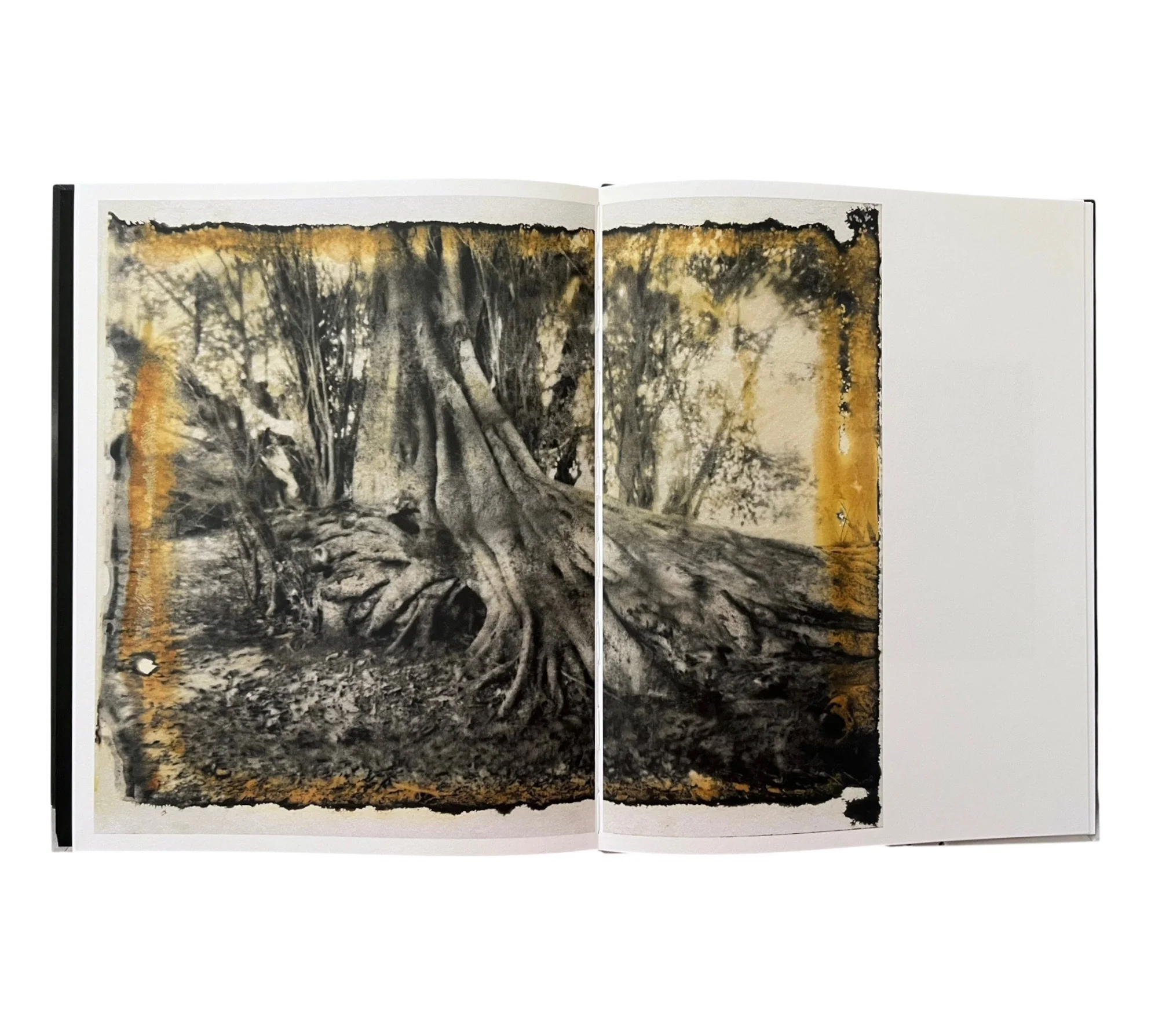 Lisen Stibeck: Undertow - Image 3