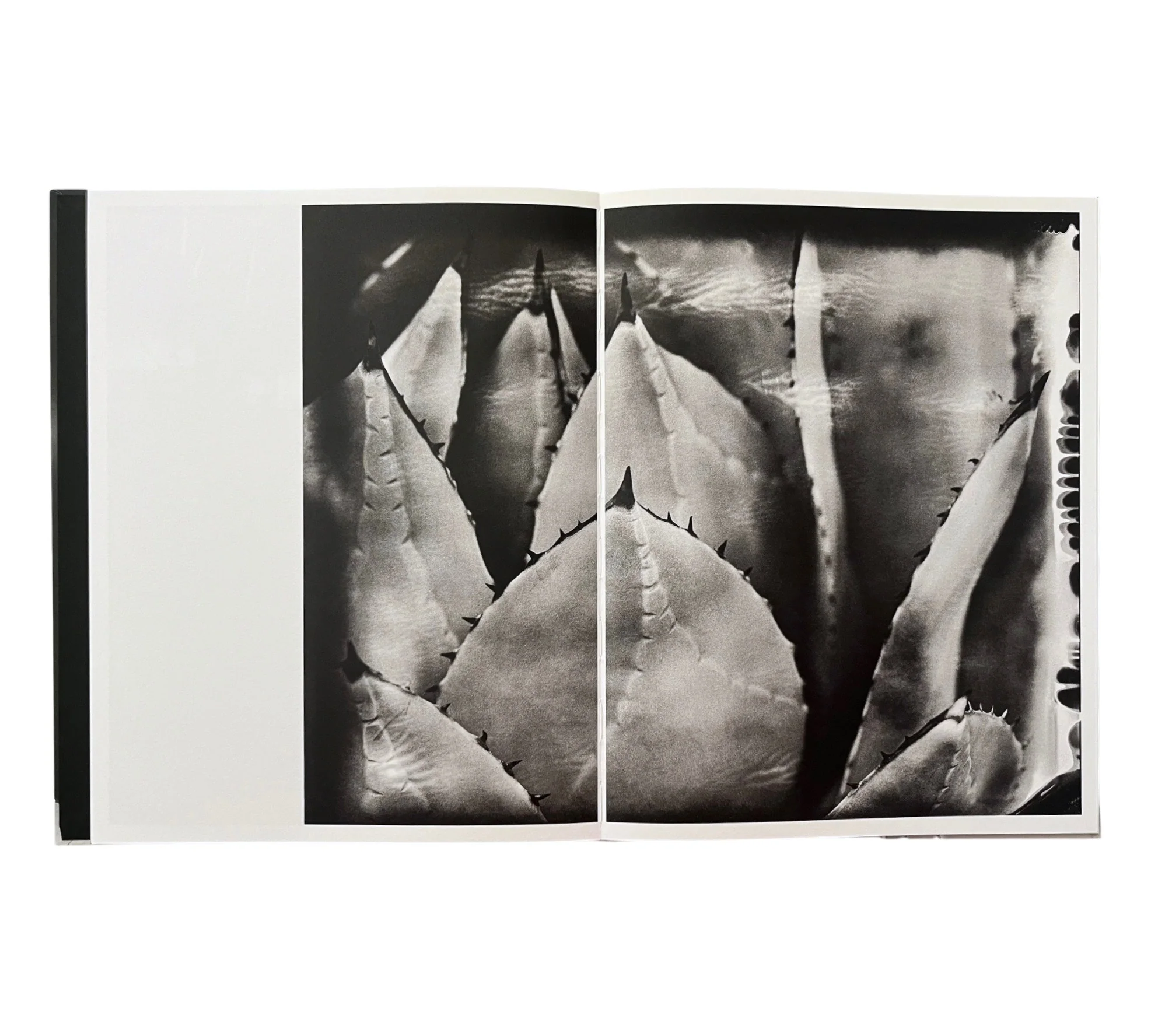 Lisen Stibeck: Undertow - Image 4