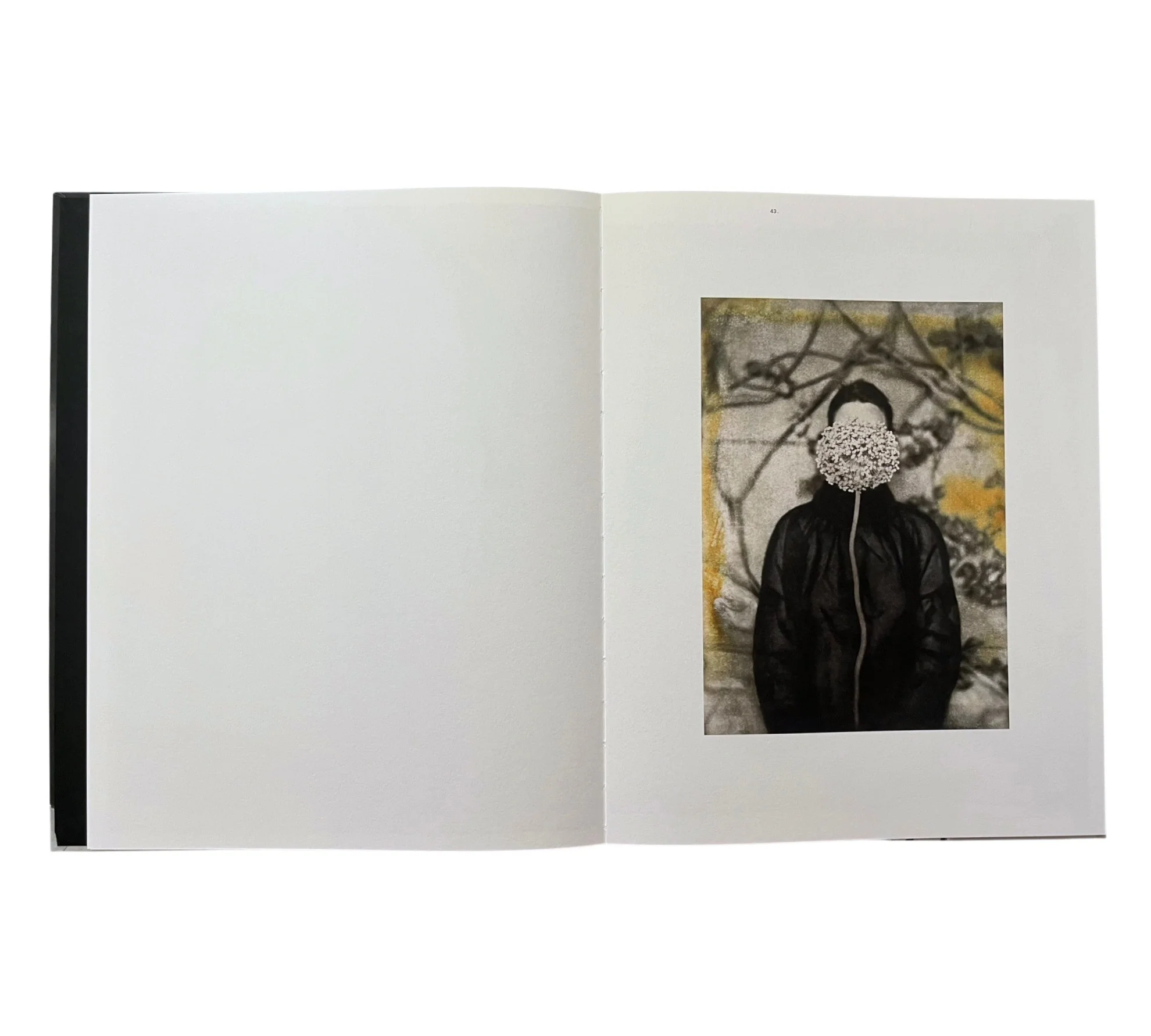 Lisen Stibeck: Undertow - Image 5