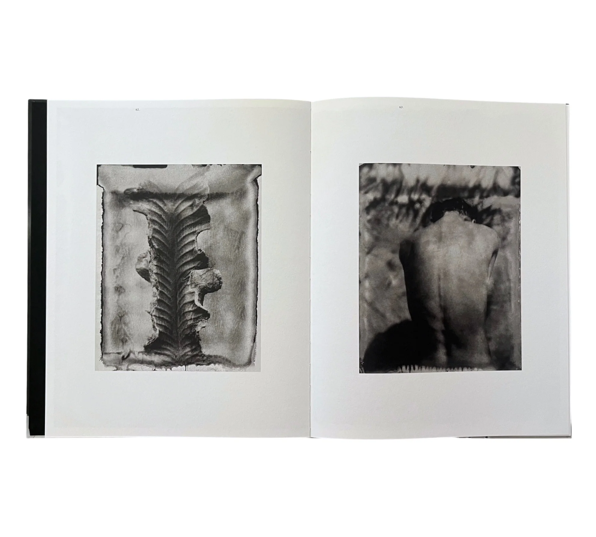 Lisen Stibeck: Undertow - Image 6