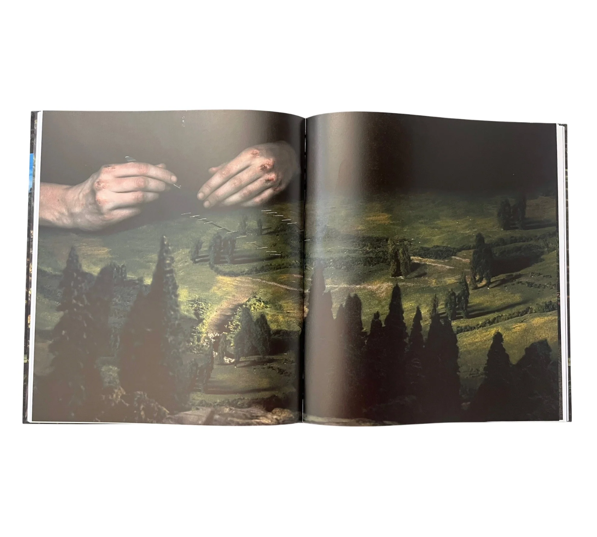 Lovisa Ringborg: Phantom Limbs - Image 10