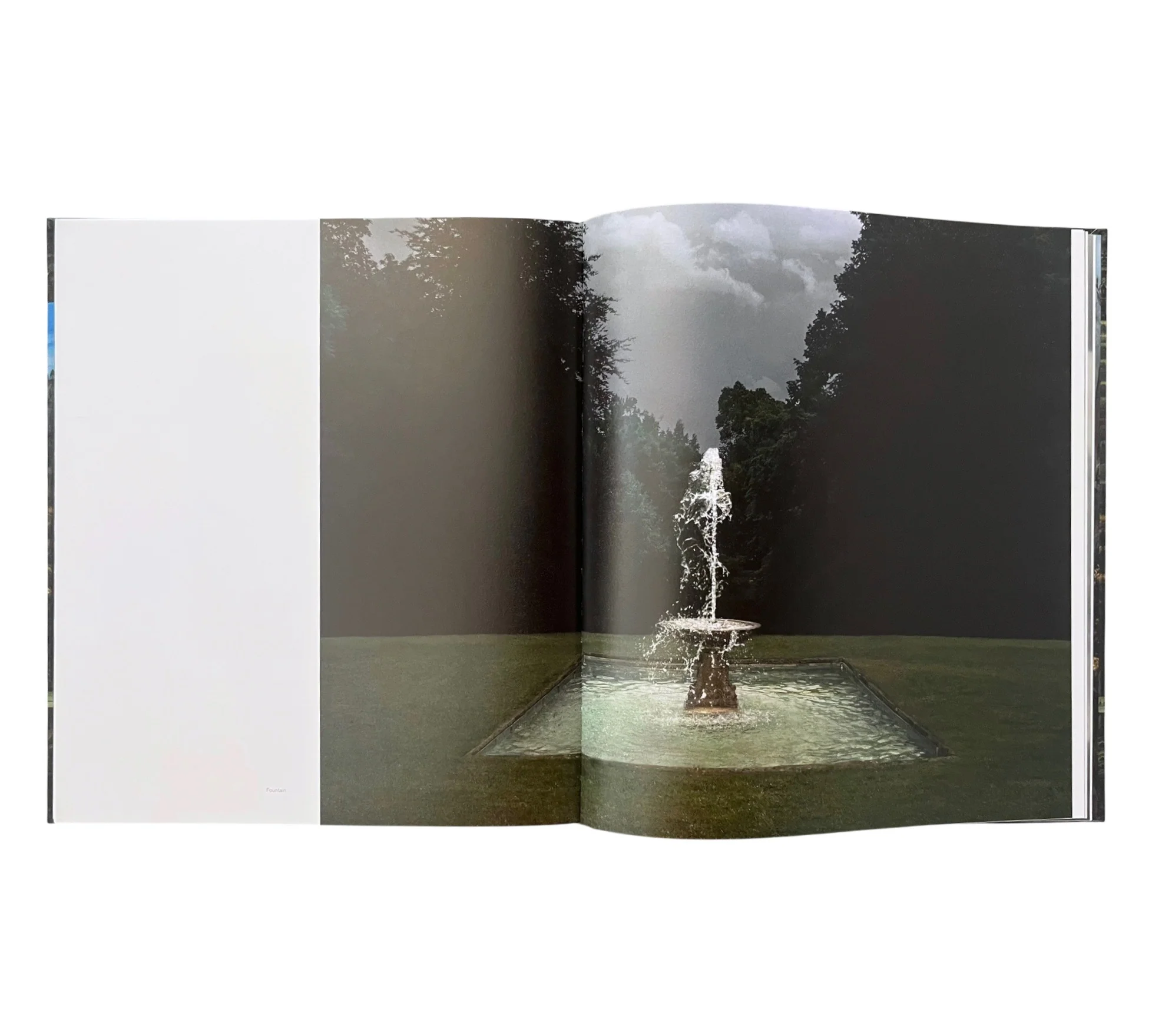 Lovisa Ringborg: Phantom Limbs - Image 11