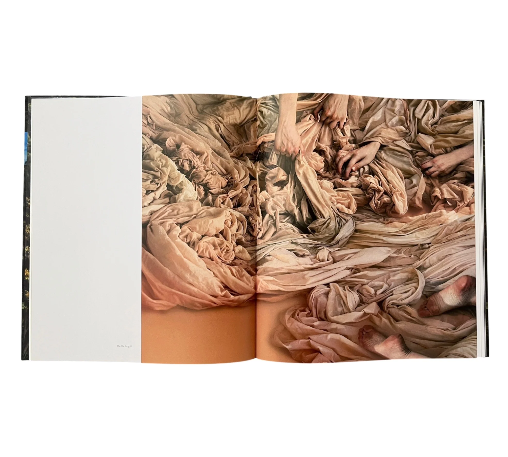 Lovisa Ringborg: Phantom Limbs - Image 3