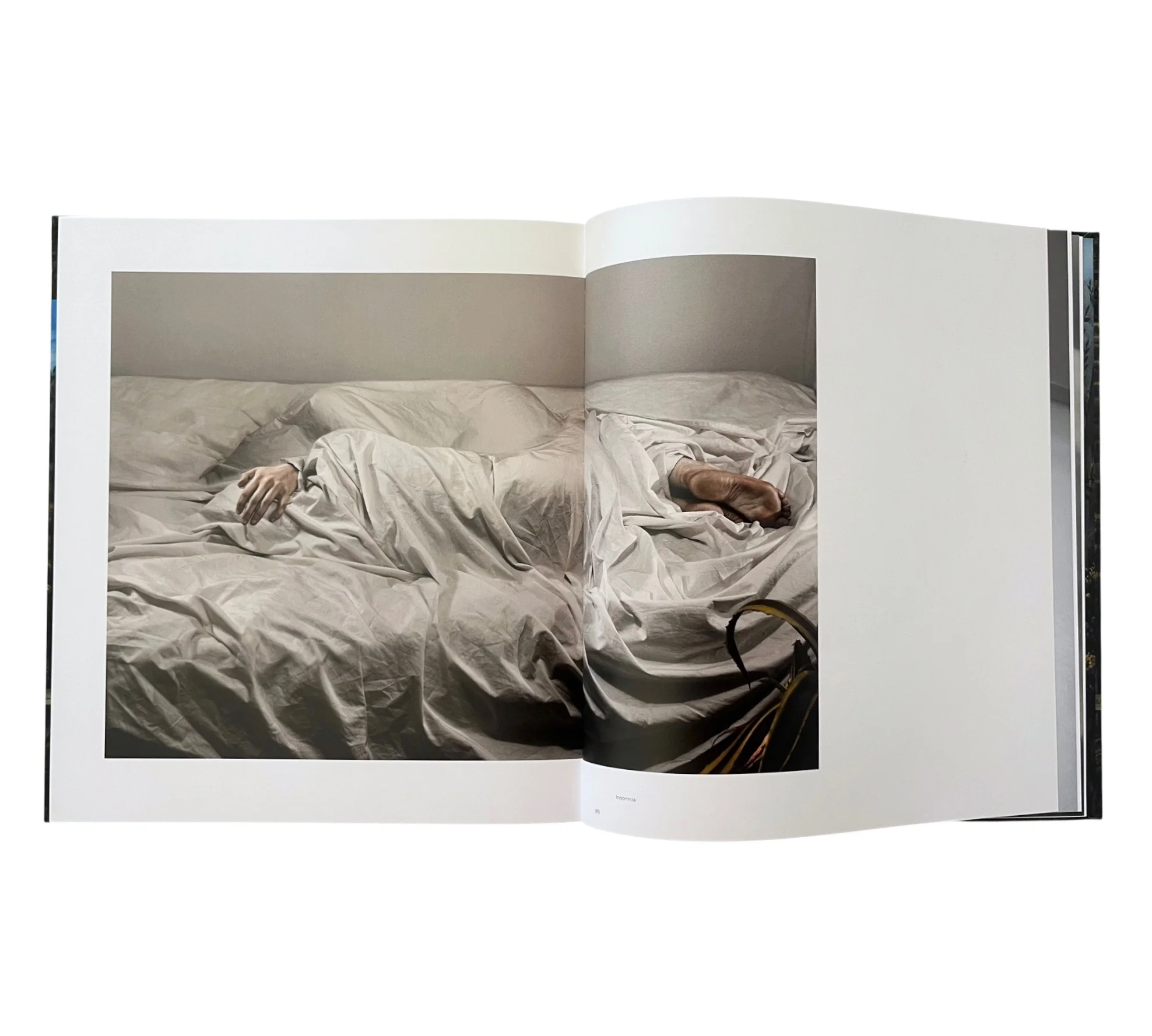Lovisa Ringborg: Phantom Limbs - Image 5