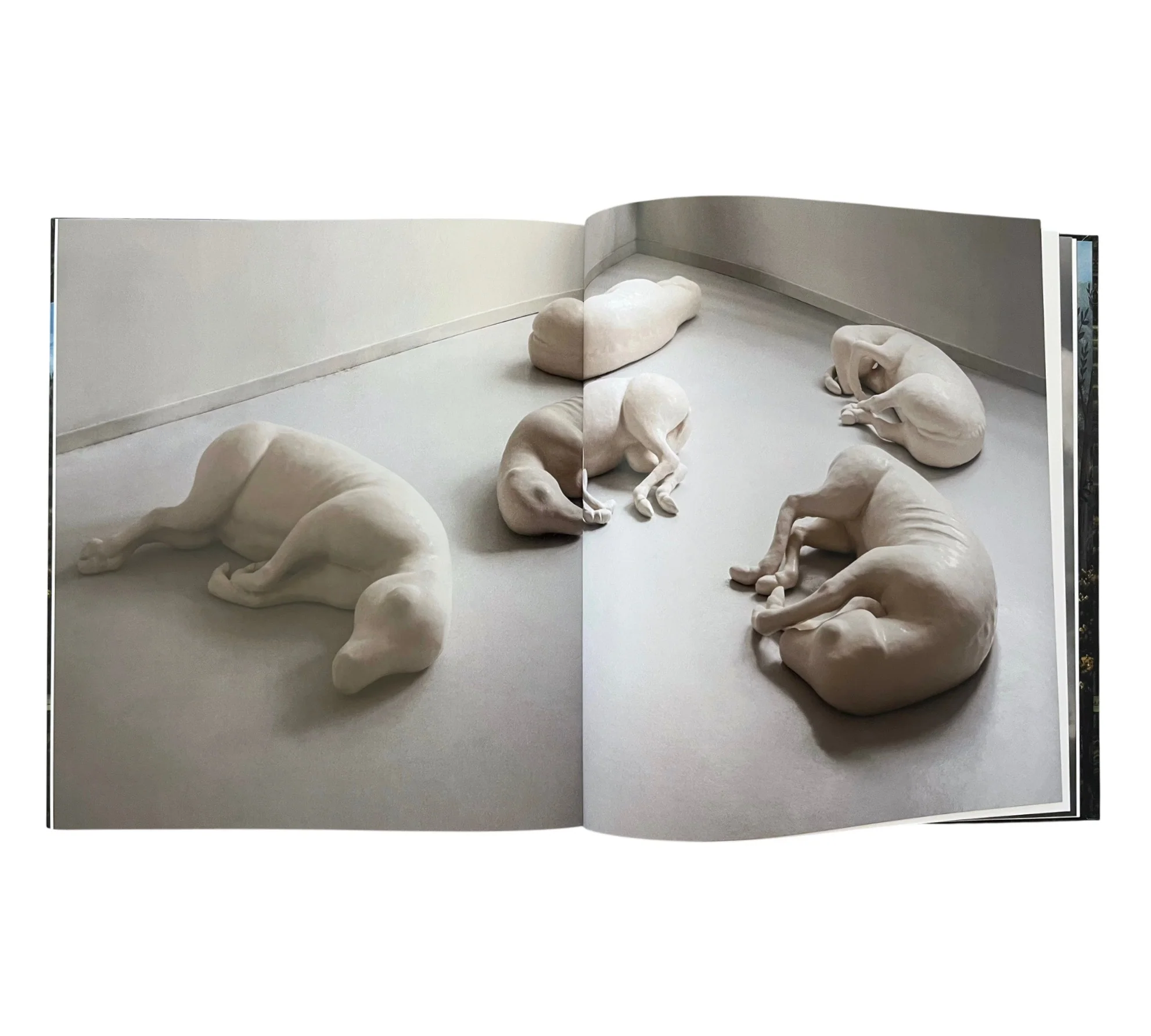 Lovisa Ringborg: Phantom Limbs - Image 6