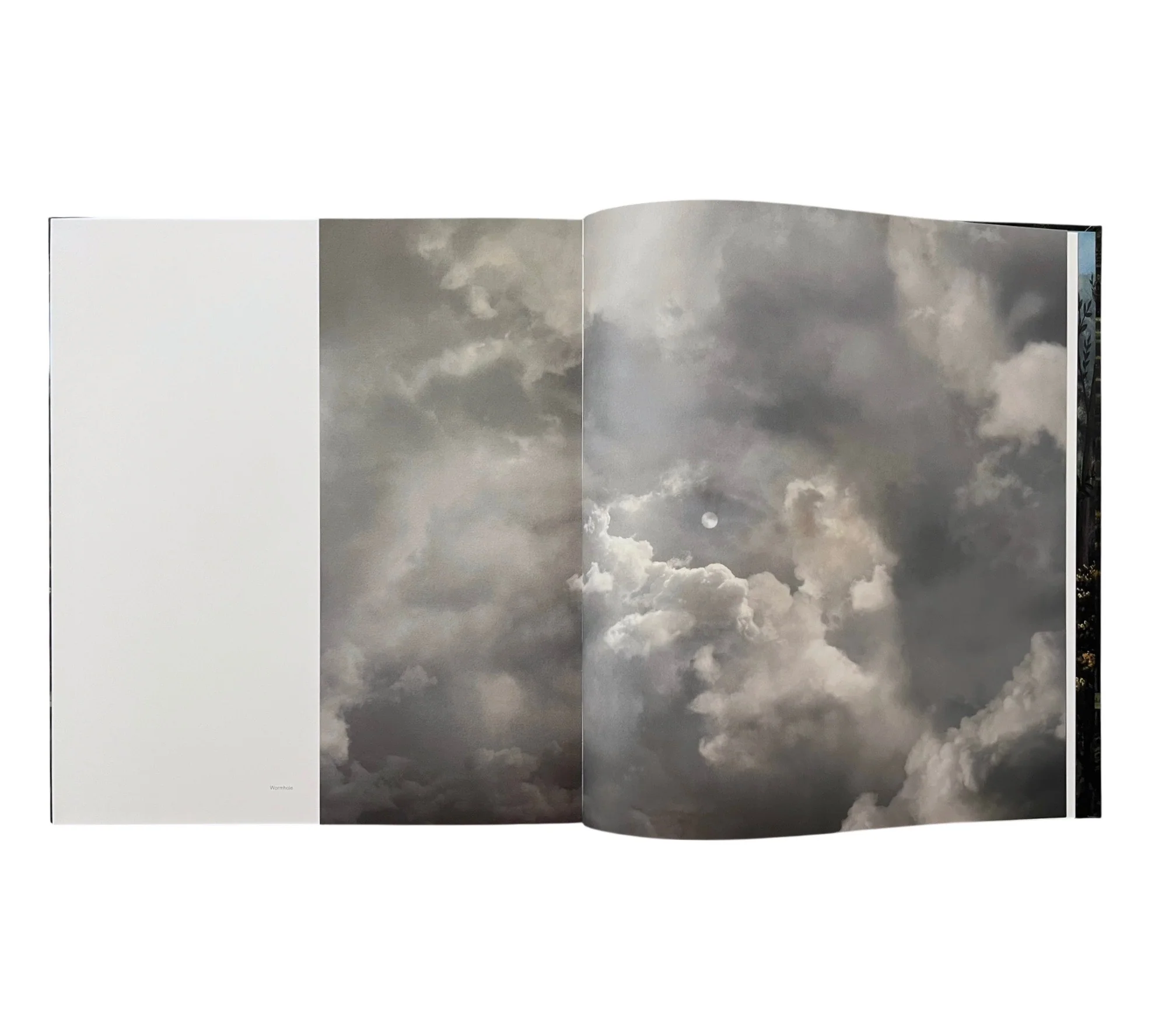 Lovisa Ringborg: Phantom Limbs - Image 8