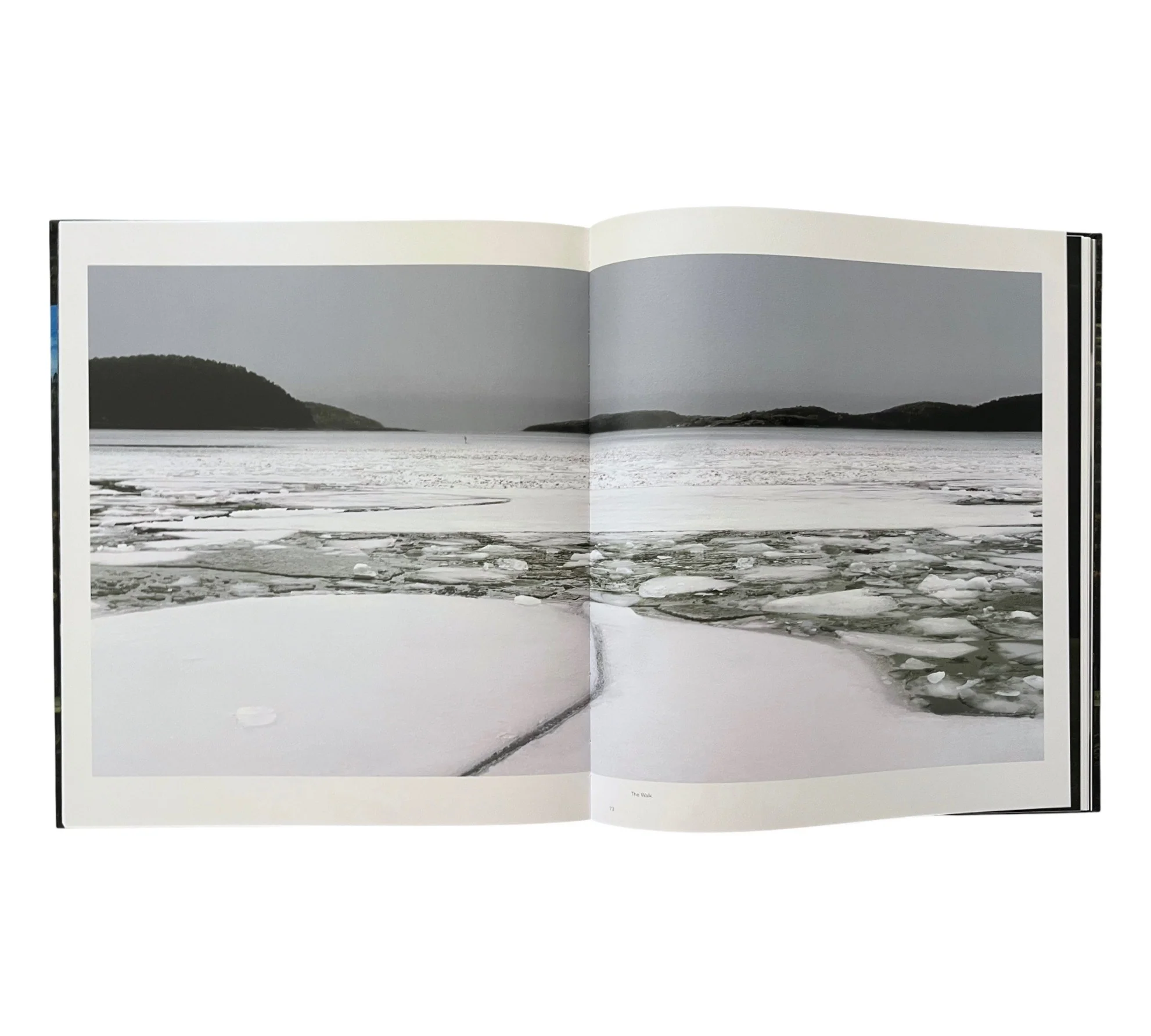 Lovisa Ringborg: Phantom Limbs - Image 9