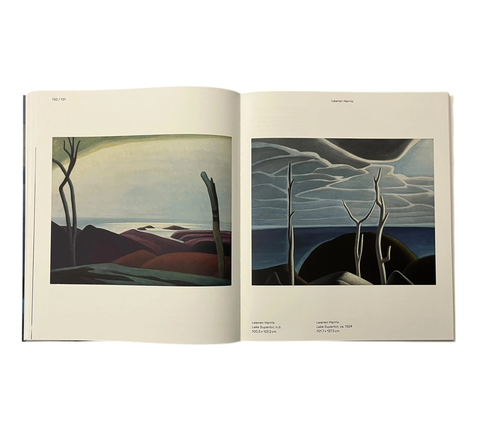 Magnetic North: Imagining Canada in Painting 1910-1940 - Image 11
