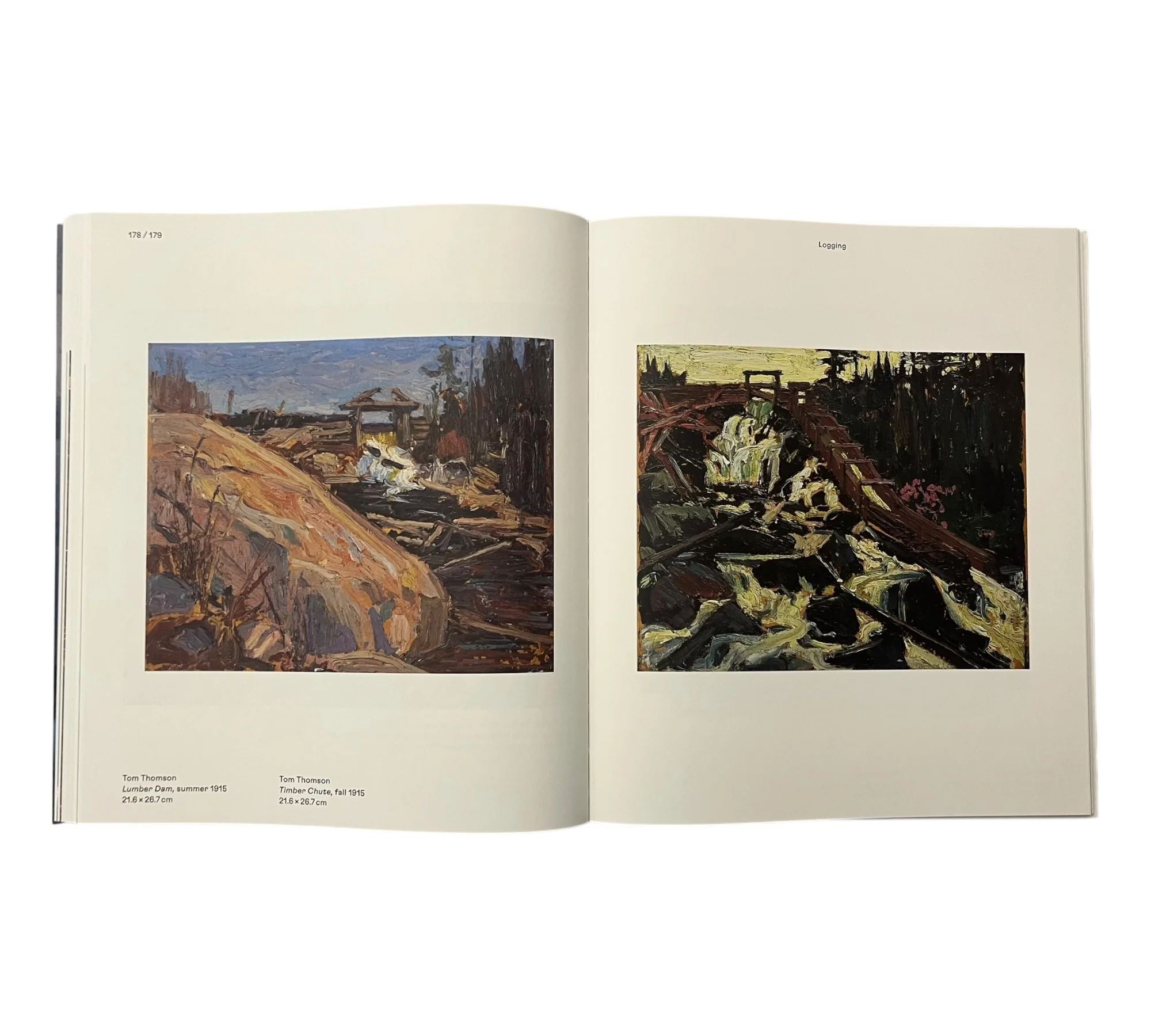 Magnetic North: Imagining Canada in Painting 1910-1940 - Image 13