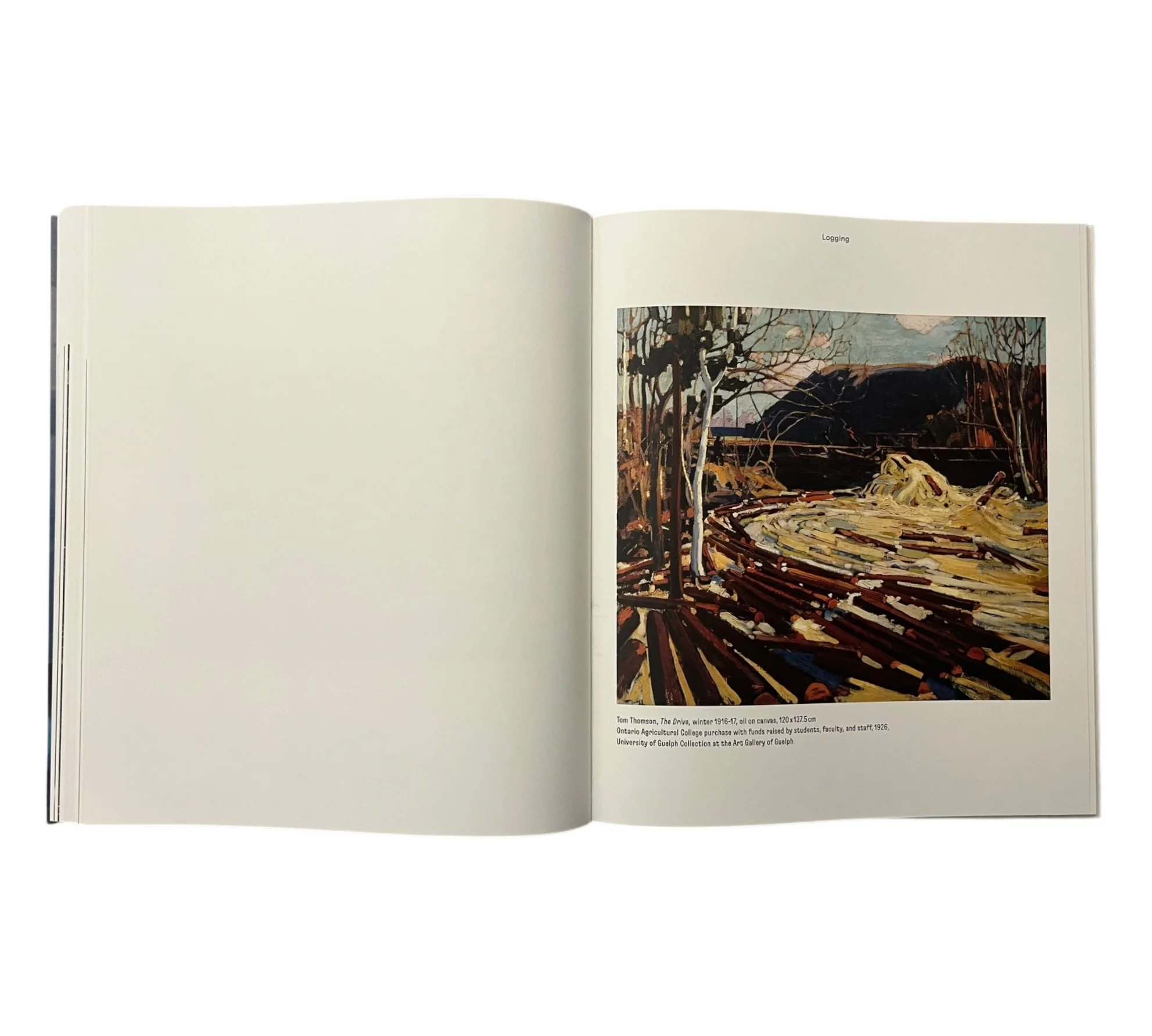 Magnetic North: Imagining Canada in Painting 1910-1940 - Image 14
