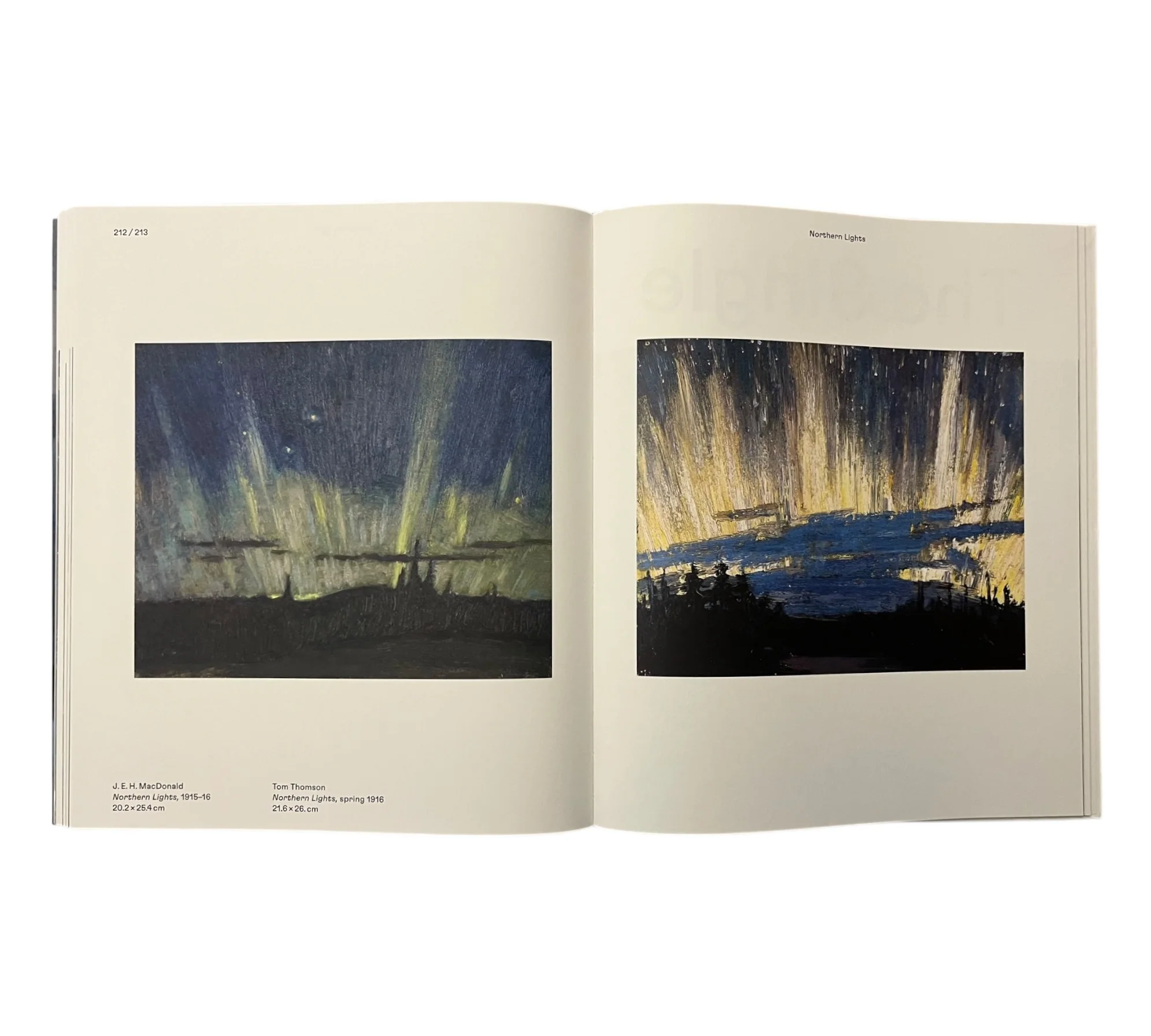 Magnetic North: Imagining Canada in Painting 1910-1940 - Image 16